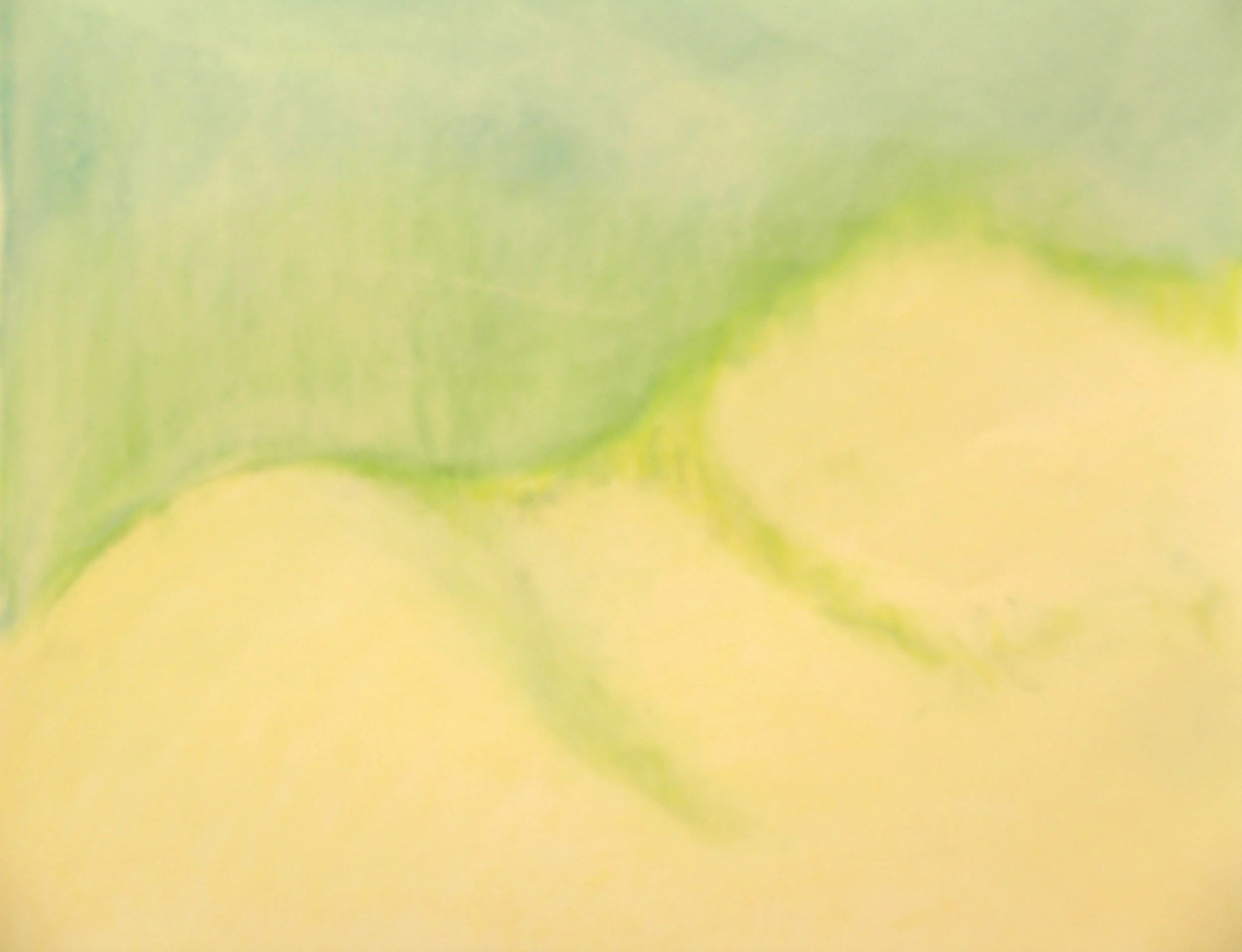 LAKE MICHIGAN | CATHEAD BAY DUNES 3