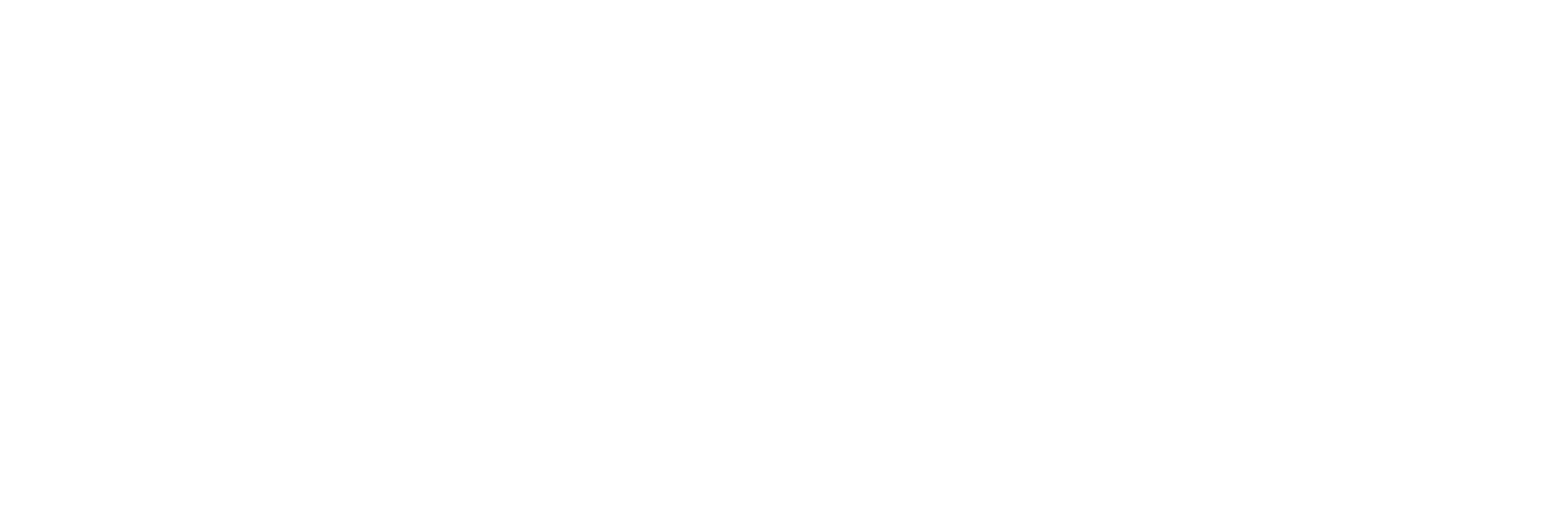 Silzzie Reels logo in black and white, with bold stylized text.