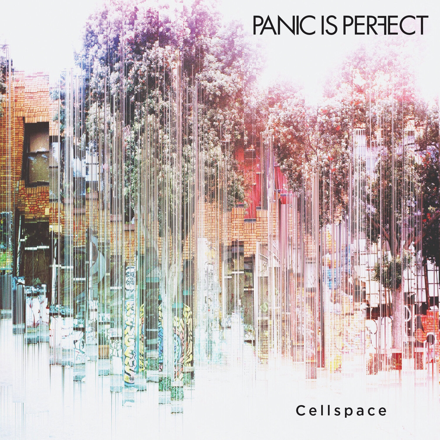 Panic is Perfect | Cellspace Album Package Design