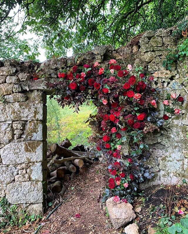 Details in the arch way🌹// Inspo pic via @the_good_florist