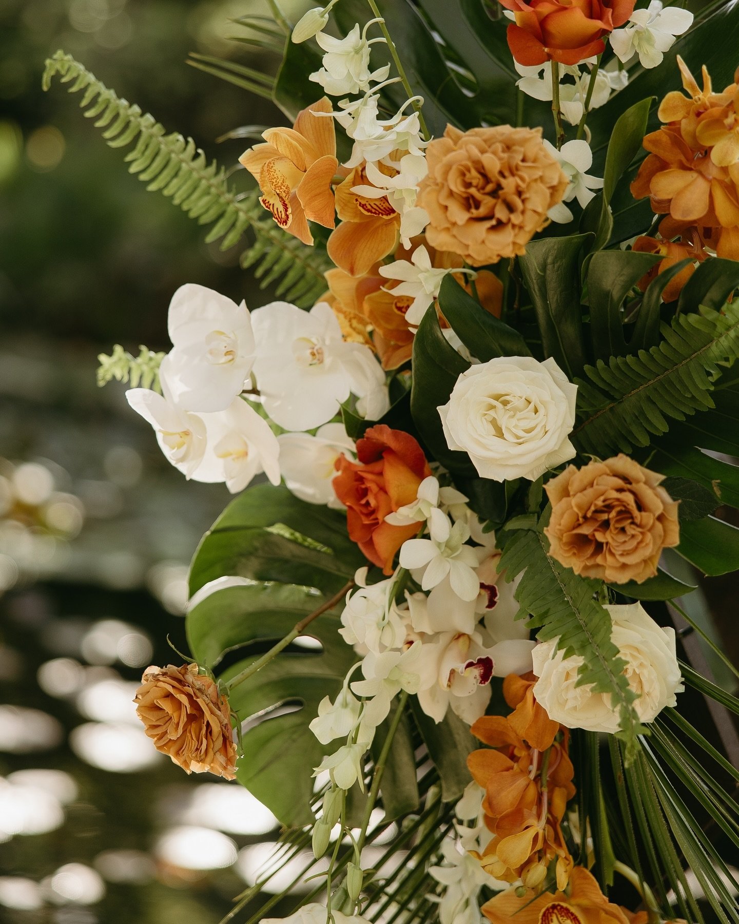 Tropical… But fall vibes. We loved flowering for you, @sydmchan and @davidkdbui ❤️
📸 @cambriashelley
Venue: @botanicathevenue
#weddings #orangecountyweddings #losangeleswedding #weddingflowers #californiaweddingflorist #losangelesflorist