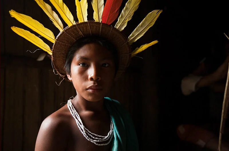 Wade Davis Ethnobotany