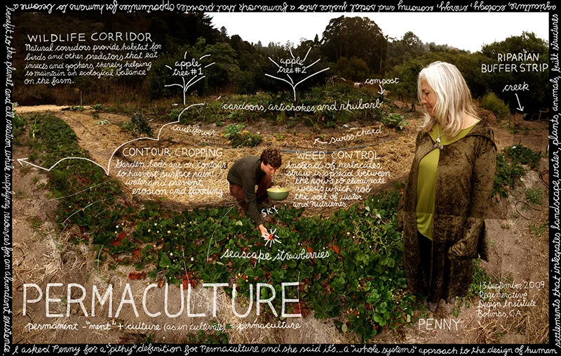 The Lexicon of Sustainability