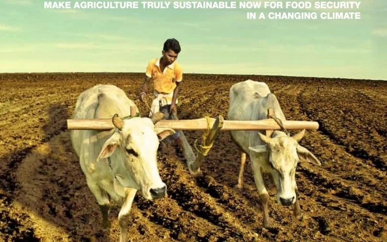  Wake up before it’s too late!