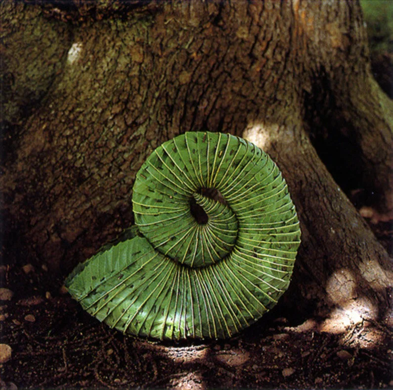 Sacred_Ecology_Andy_Goldsworthy_07.jpg