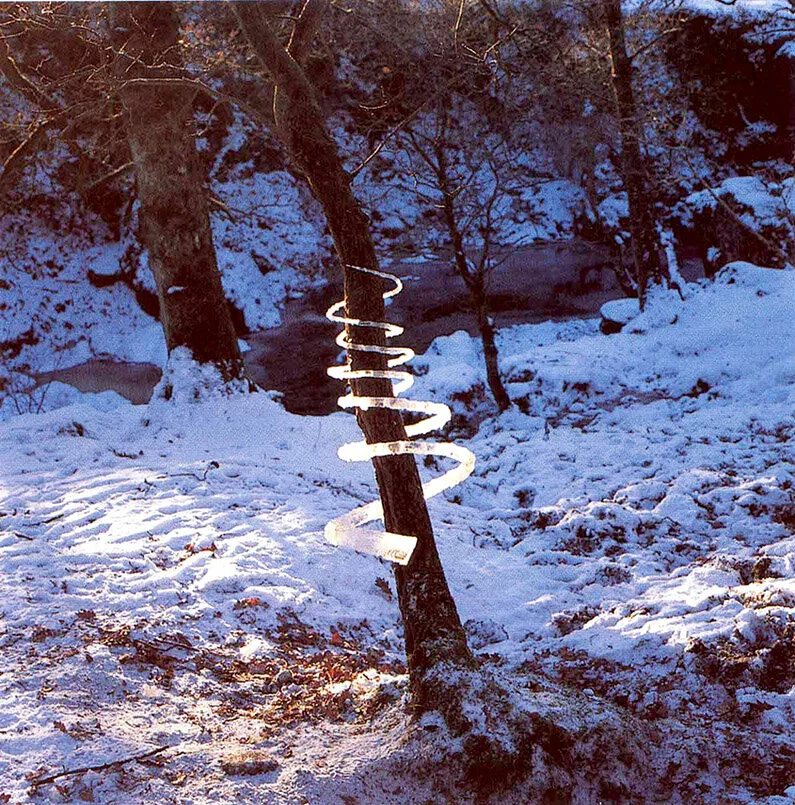 Sacred_Ecology_Andy_Goldsworthy_08.jpg