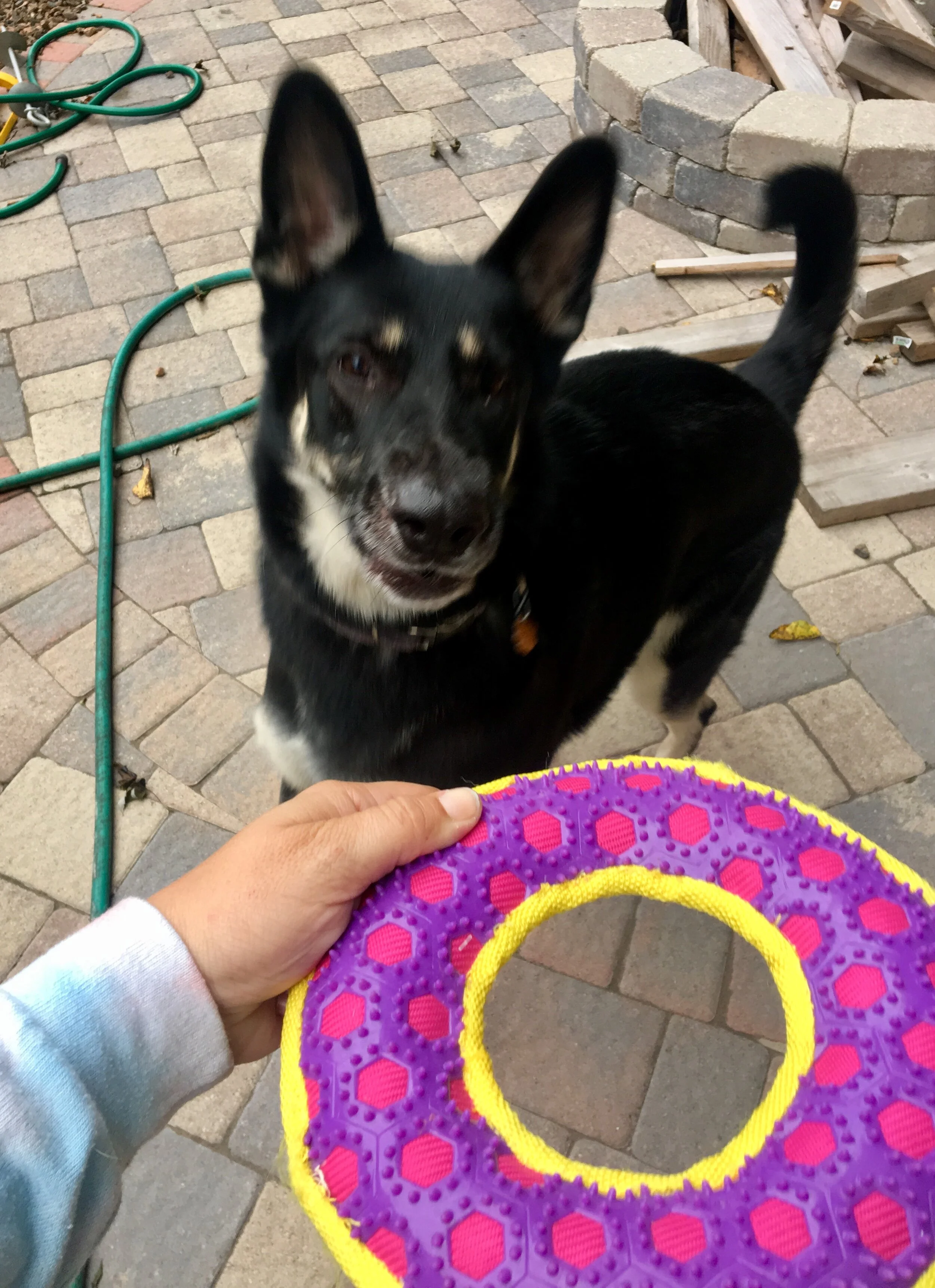 IMG_0664 (Edited).JPG