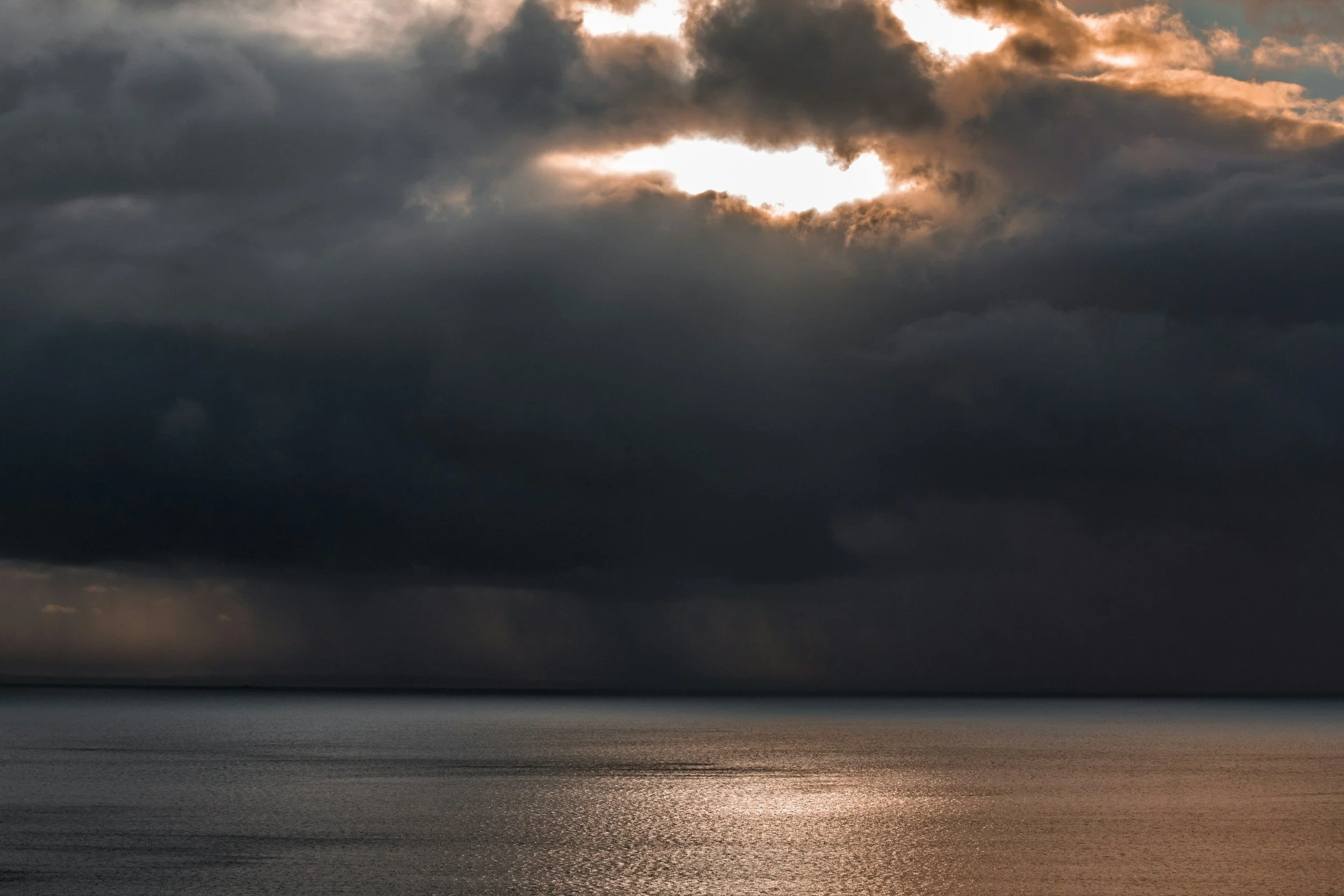 Management Commentary: January 2026