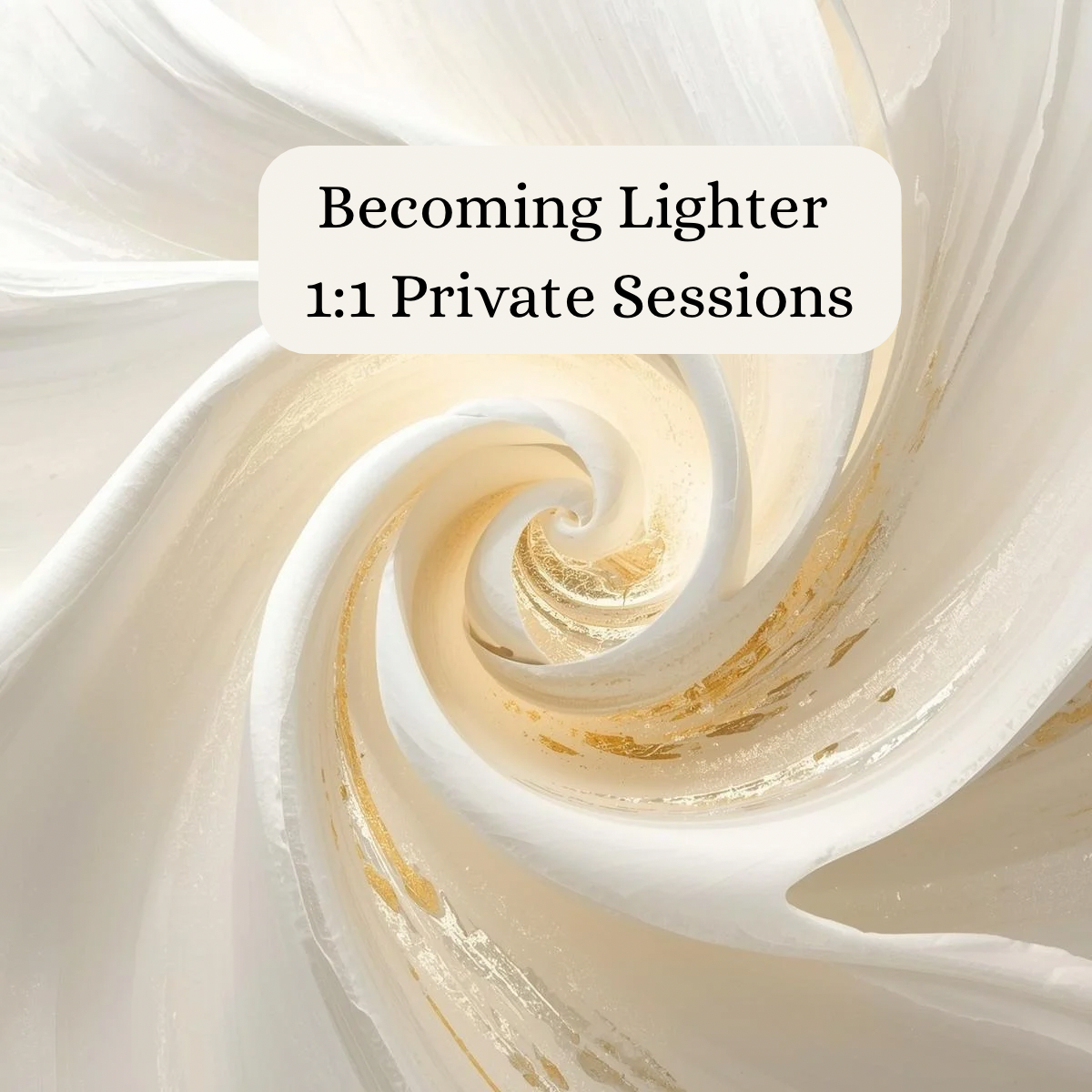 Lighter 1:1 Program