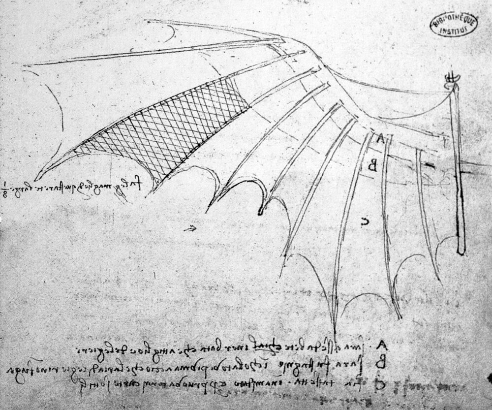 Study of wing articulation. Source: Zöllner, Frank. Leonardo da Vinci: The Complete Paintings and Drawings. Köln: Taschen, 2016. 644.