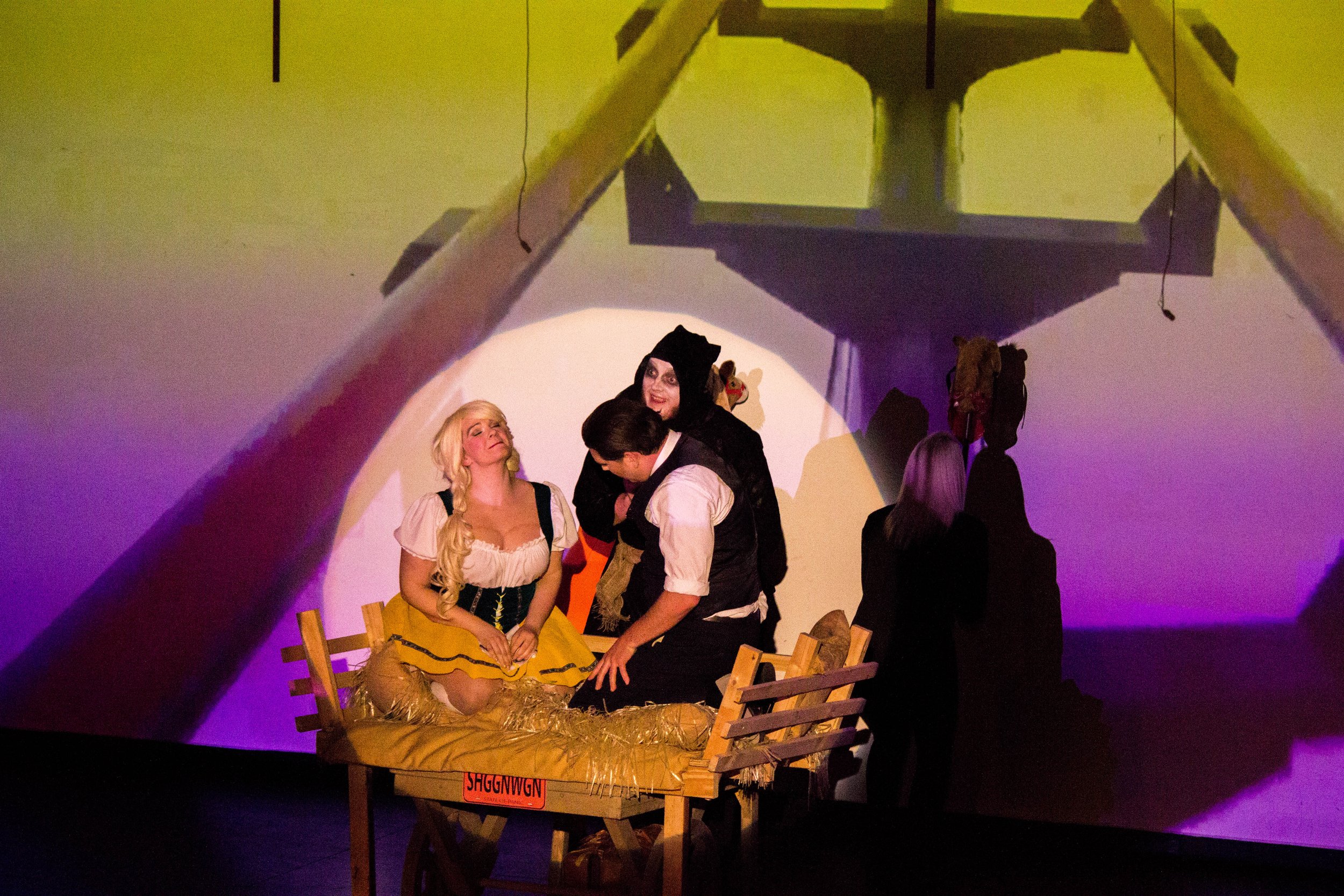 Young Frankenstein-108.jpg