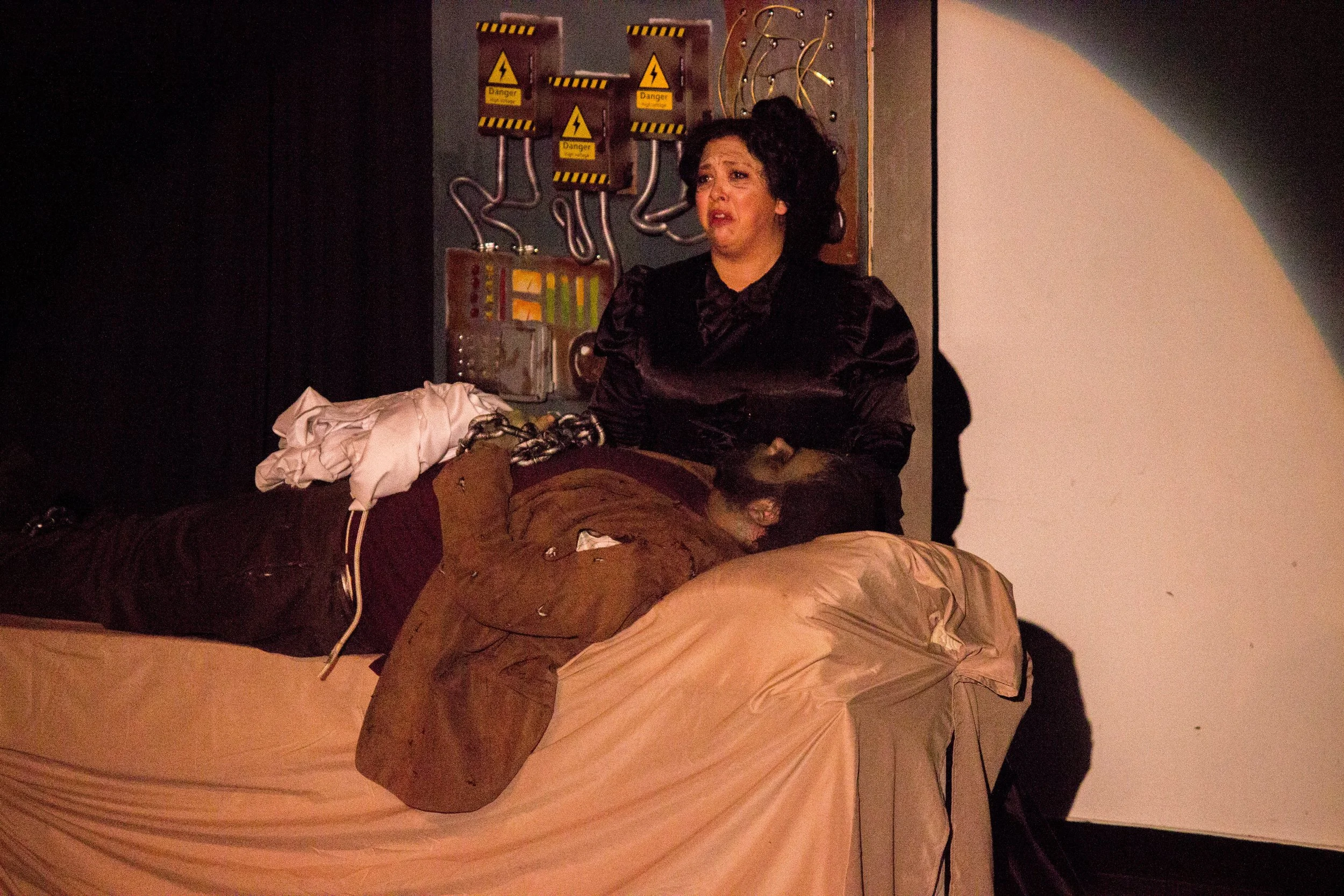 Young Frankenstein-256.jpg