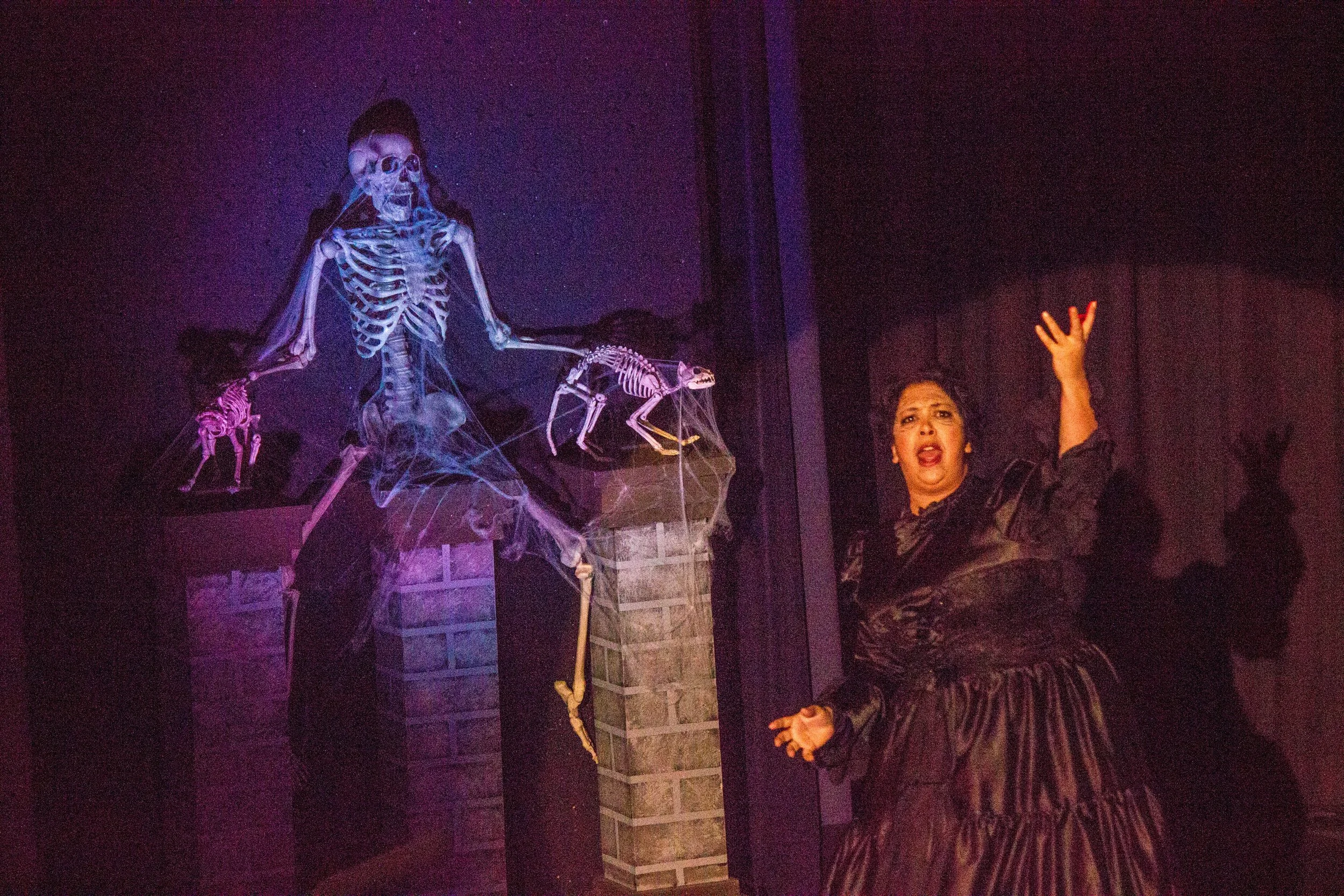 Young Frankenstein-195.jpg