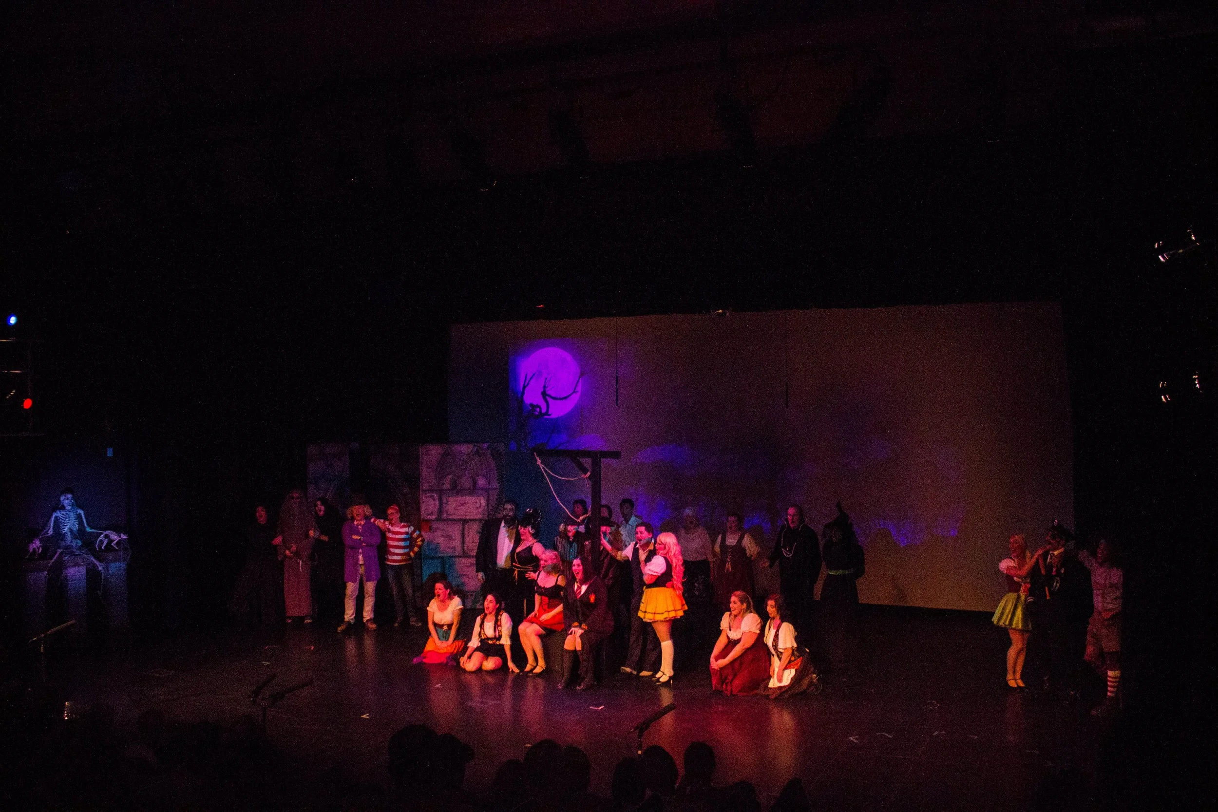 Young Frankenstein-449.jpg