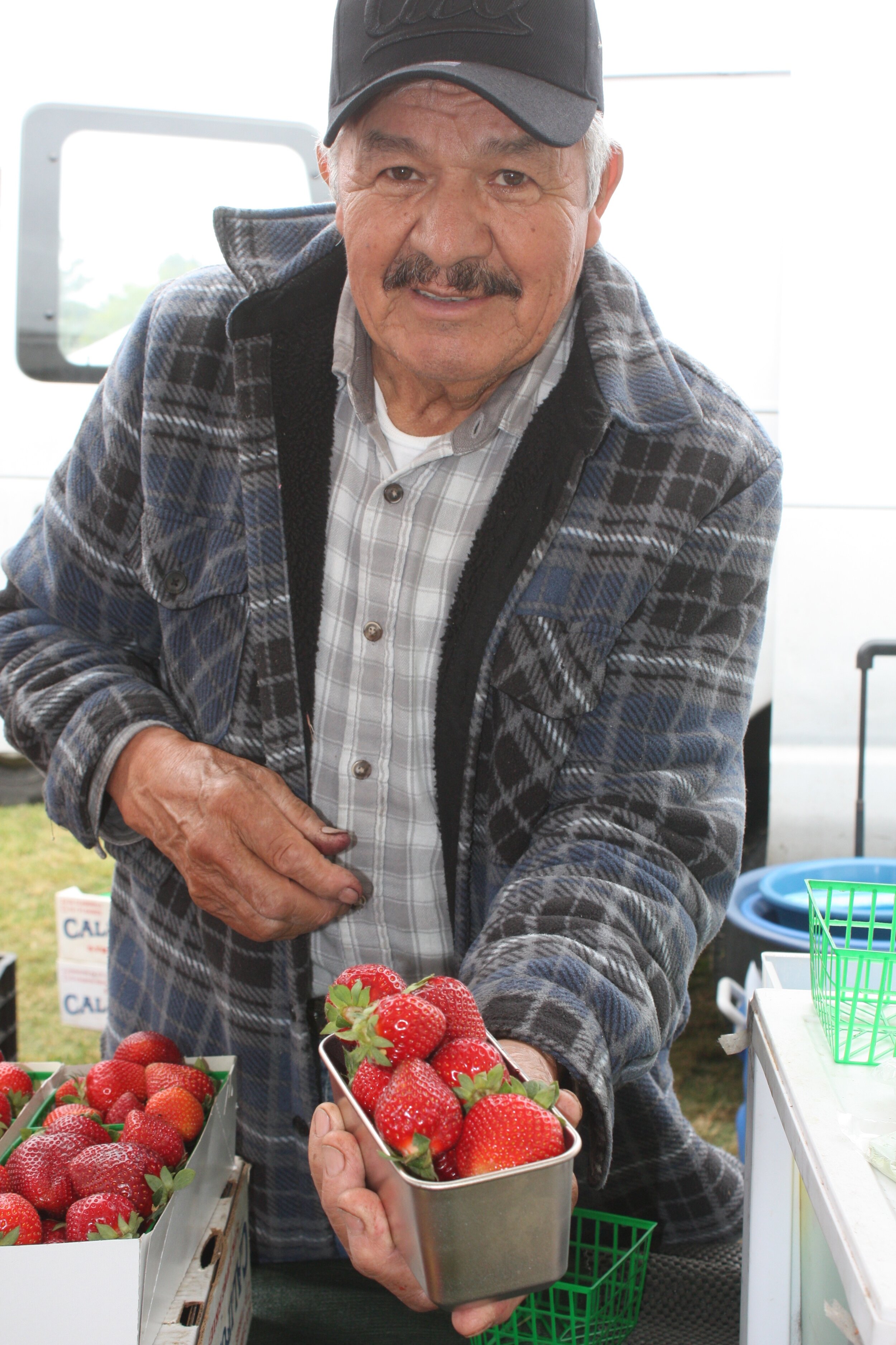 farmer-market-reusable-strawberries-2019.jpg