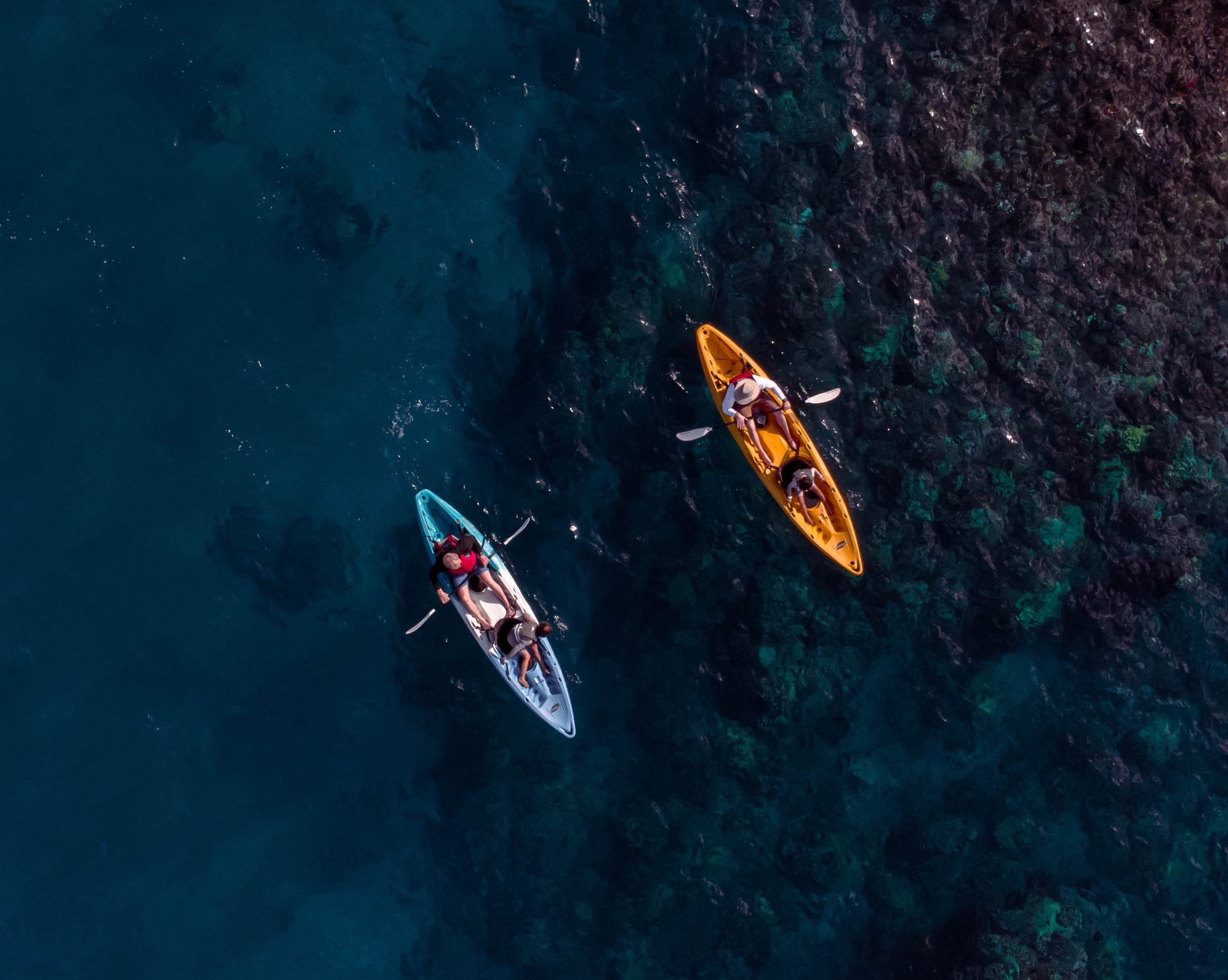 kayak car rental maui