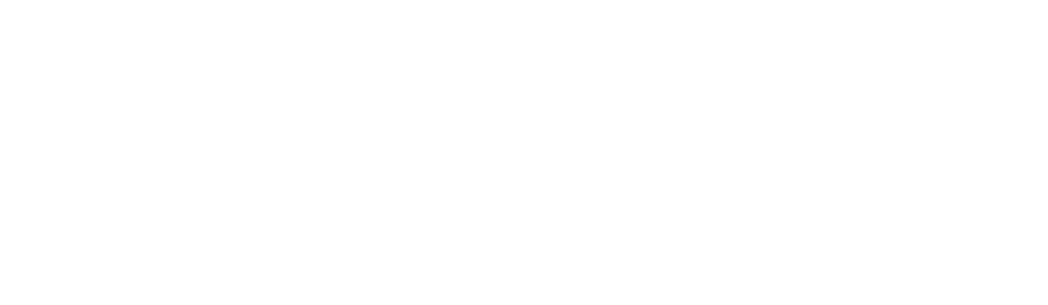 FOX Capital Partners