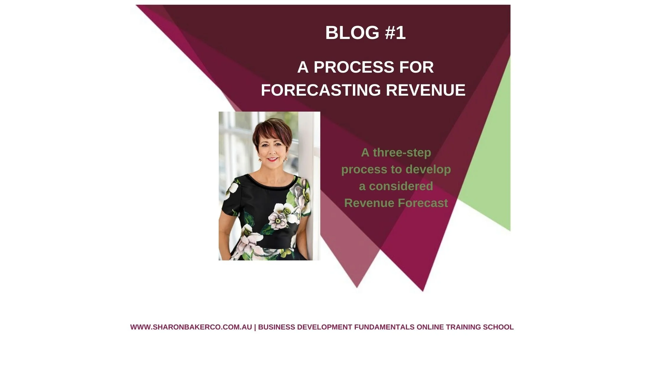 BLOG #1 - A PROCESS FOR FORECASTING REVENUE