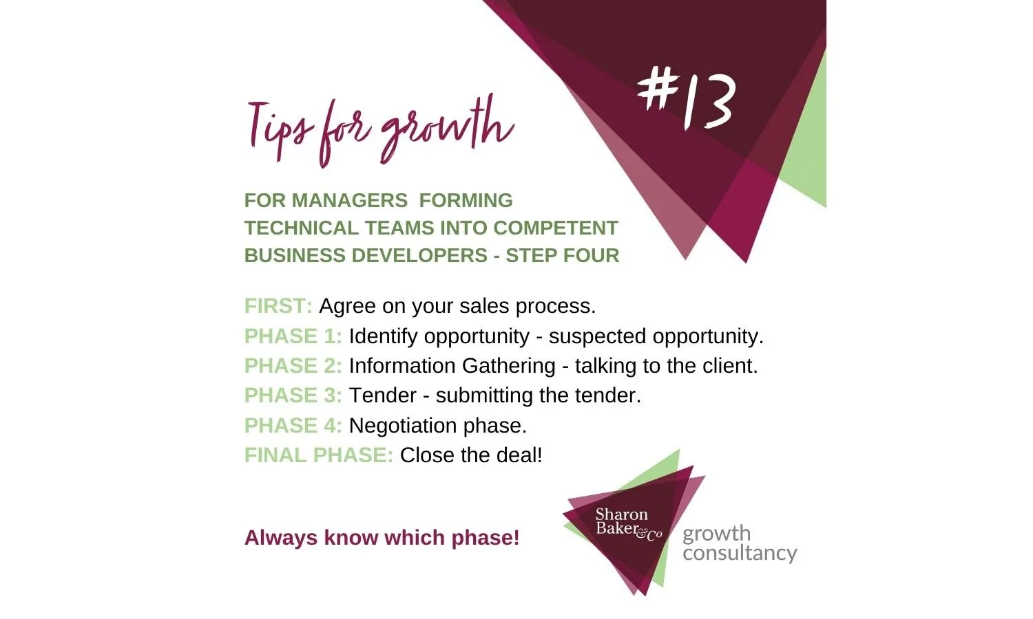 Tips for Growth_Tip13_Managers_4 Sales Process.jpg