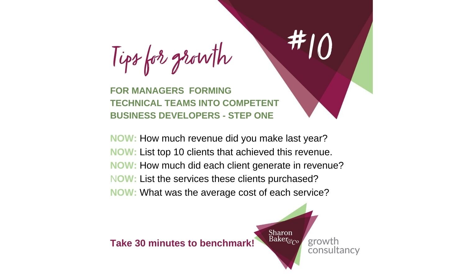 Tips for Growth_Tip10_Managers_1 Benchmark.jpg