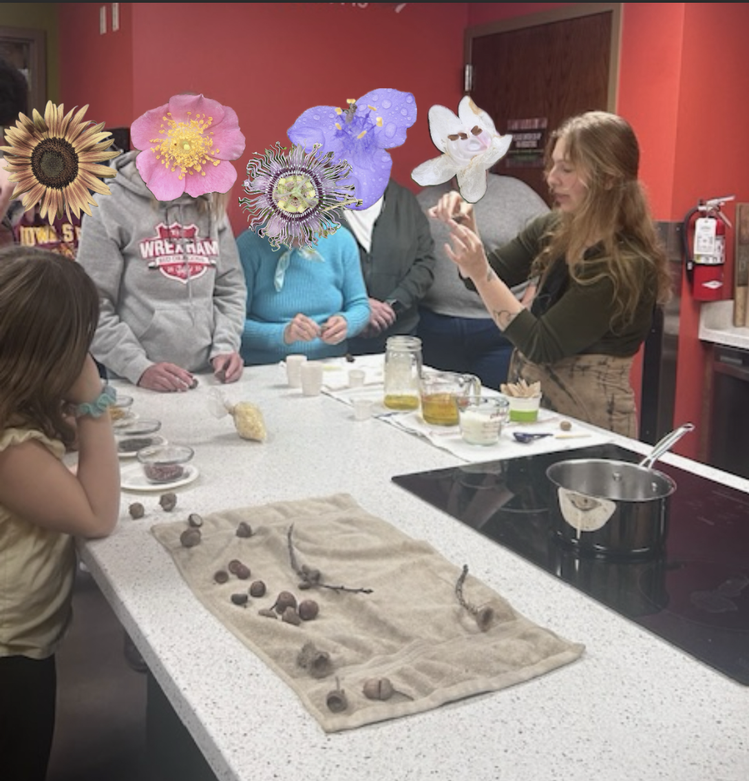 Wildcrafting with Beeswax: Mullein Torches + Acorn Cap Balms, with Dr. Crystal Jewell