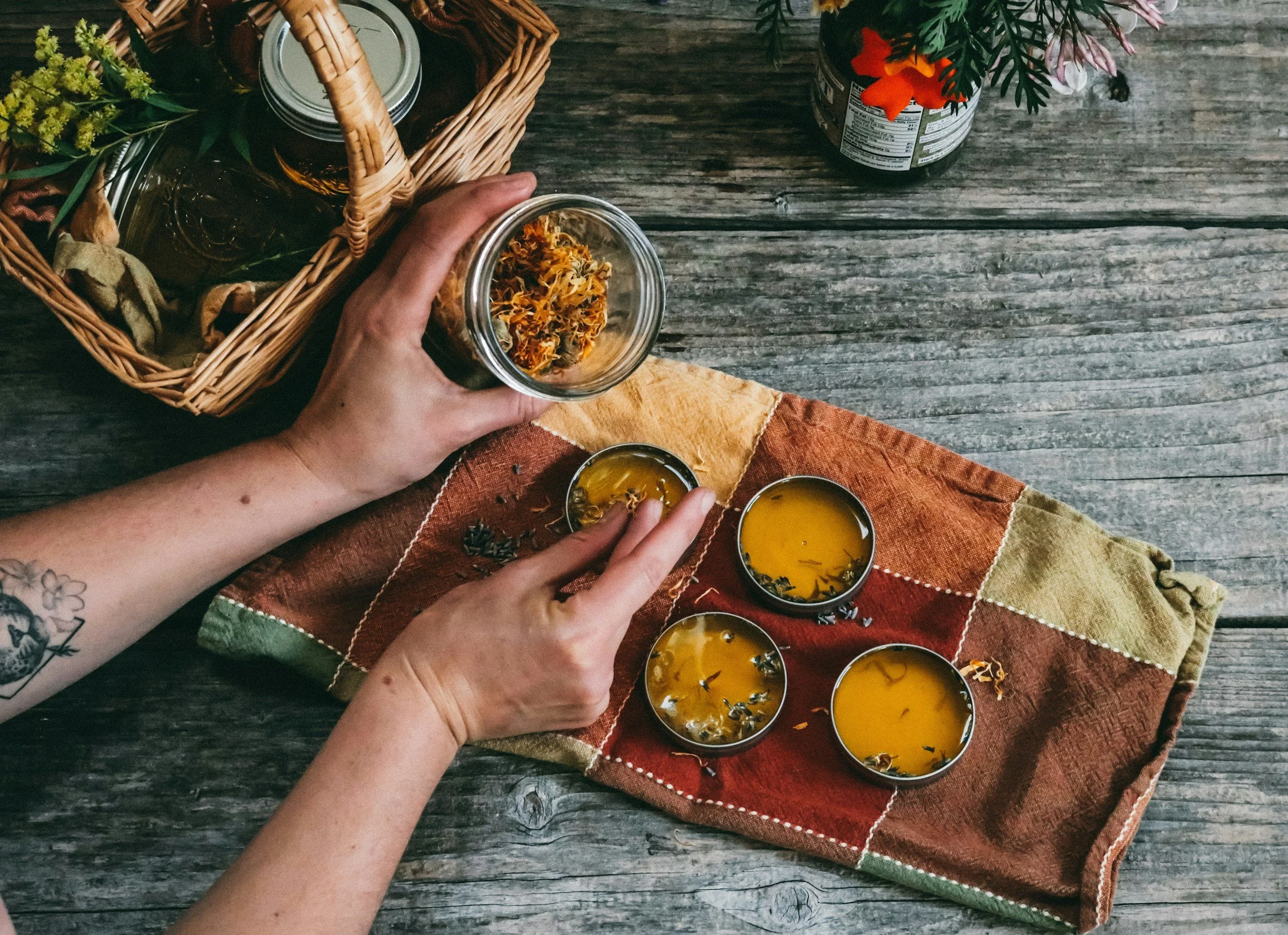 The Home Apothecary 2: Herbs for Topical Applications: Salves, Compressions, Poultices, Lotions and More!, with Linda Conroy