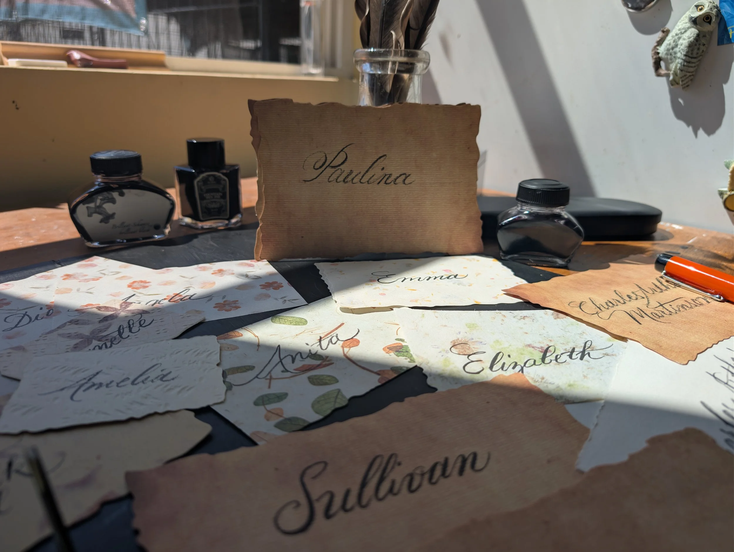 PXL_20260817_165605672 (1).jpg