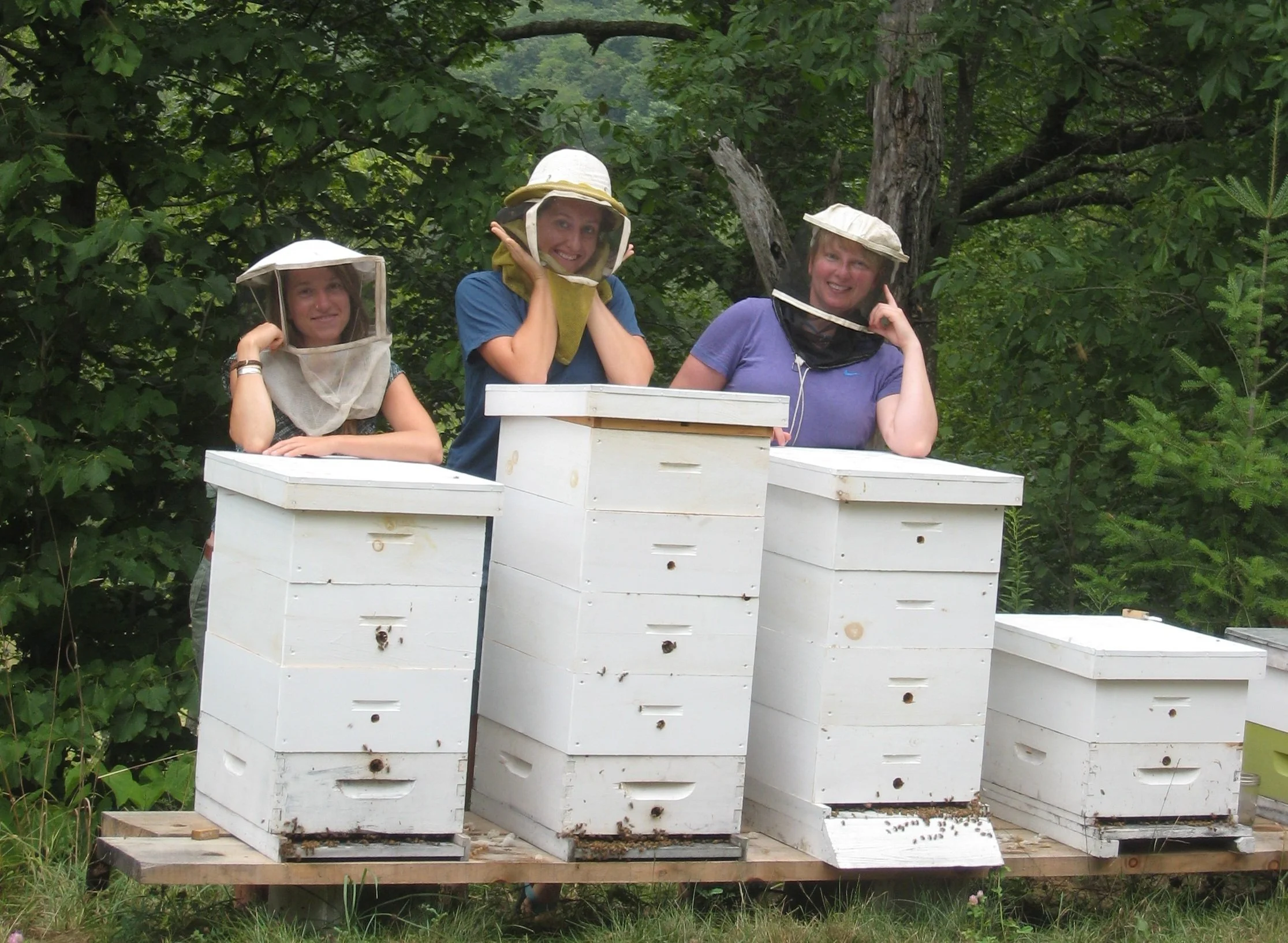 Intro to Beekeeping, with Jeff Hancock