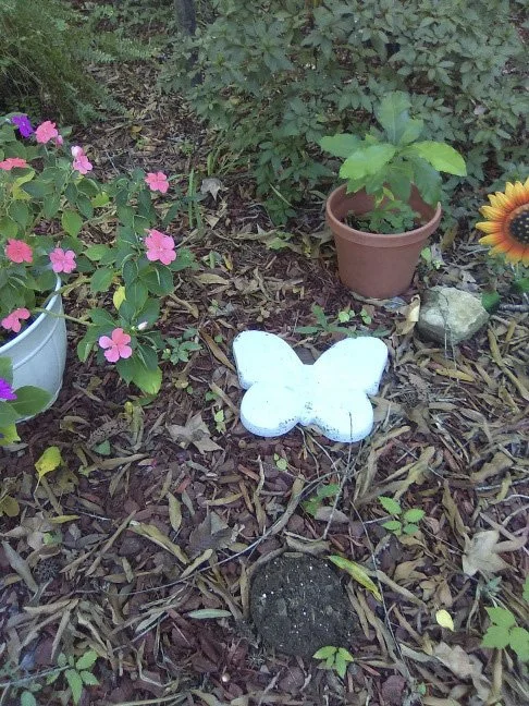 gardenbutterflypaversc.jpg