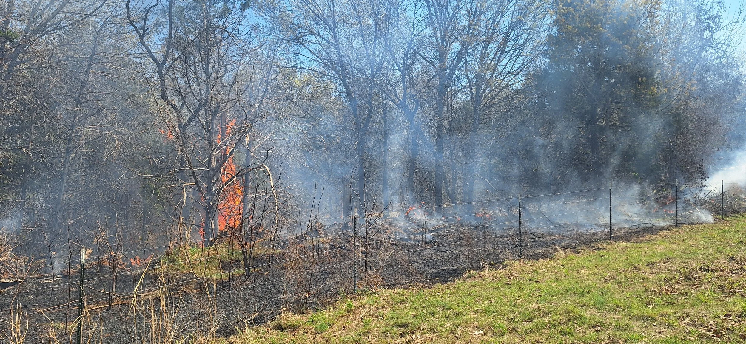 Prescribed Burning