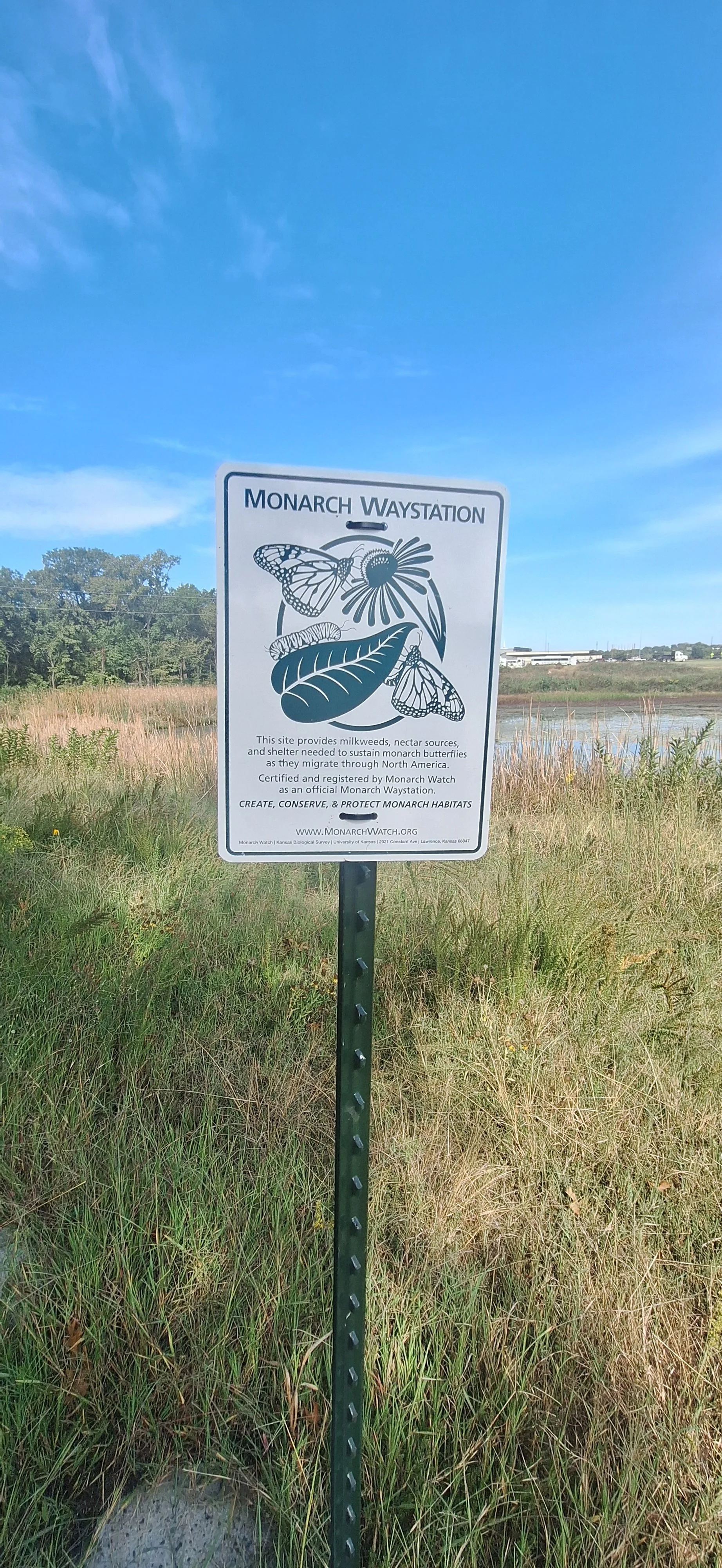 PTCmonarchtagging2.jpg