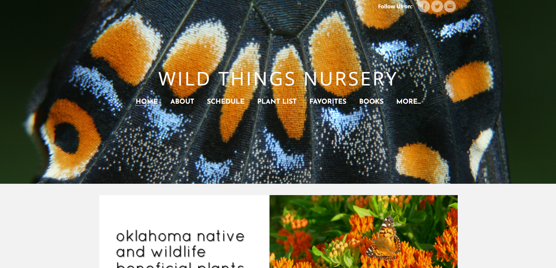 wildthingsnursery.png