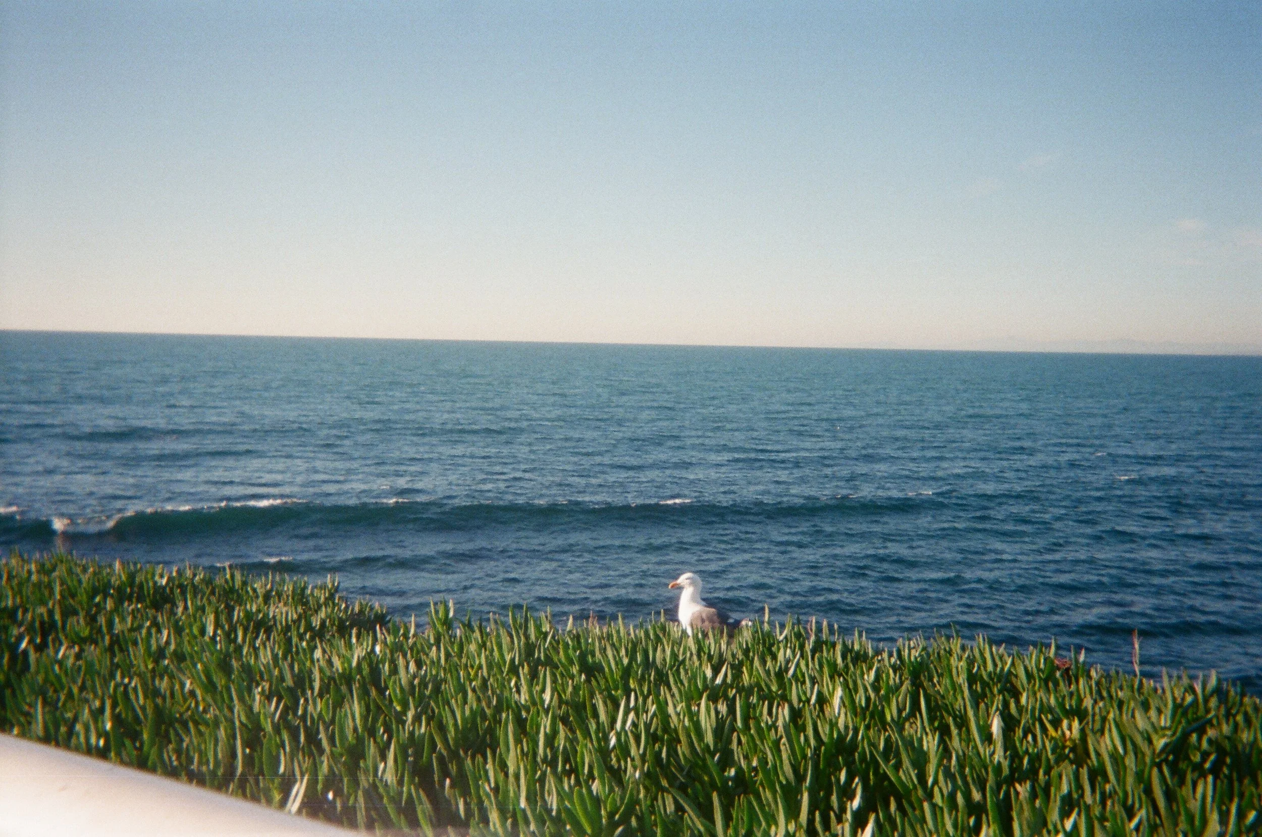 46920024.JPG