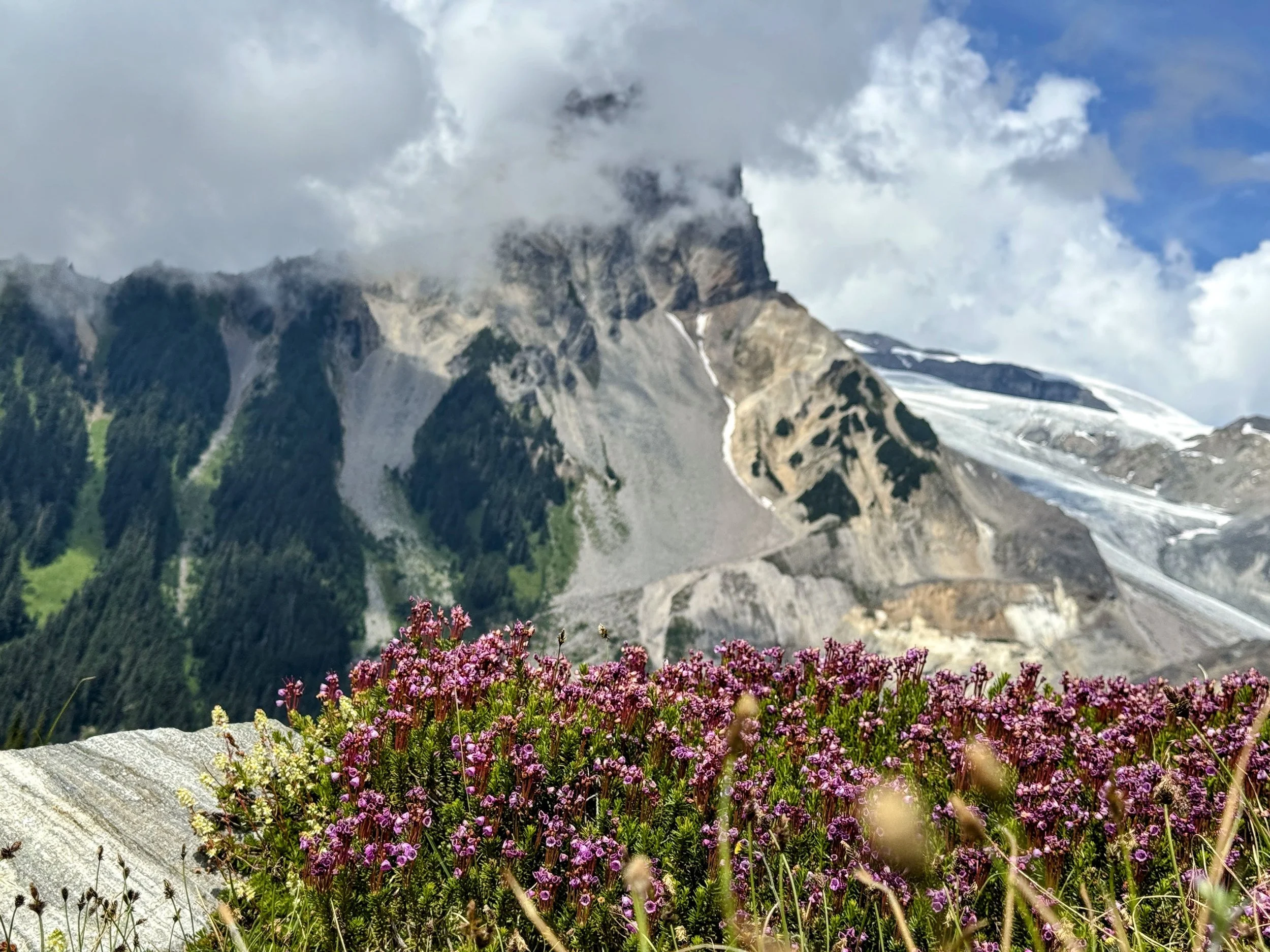 IMG_8488-EDIT.jpg