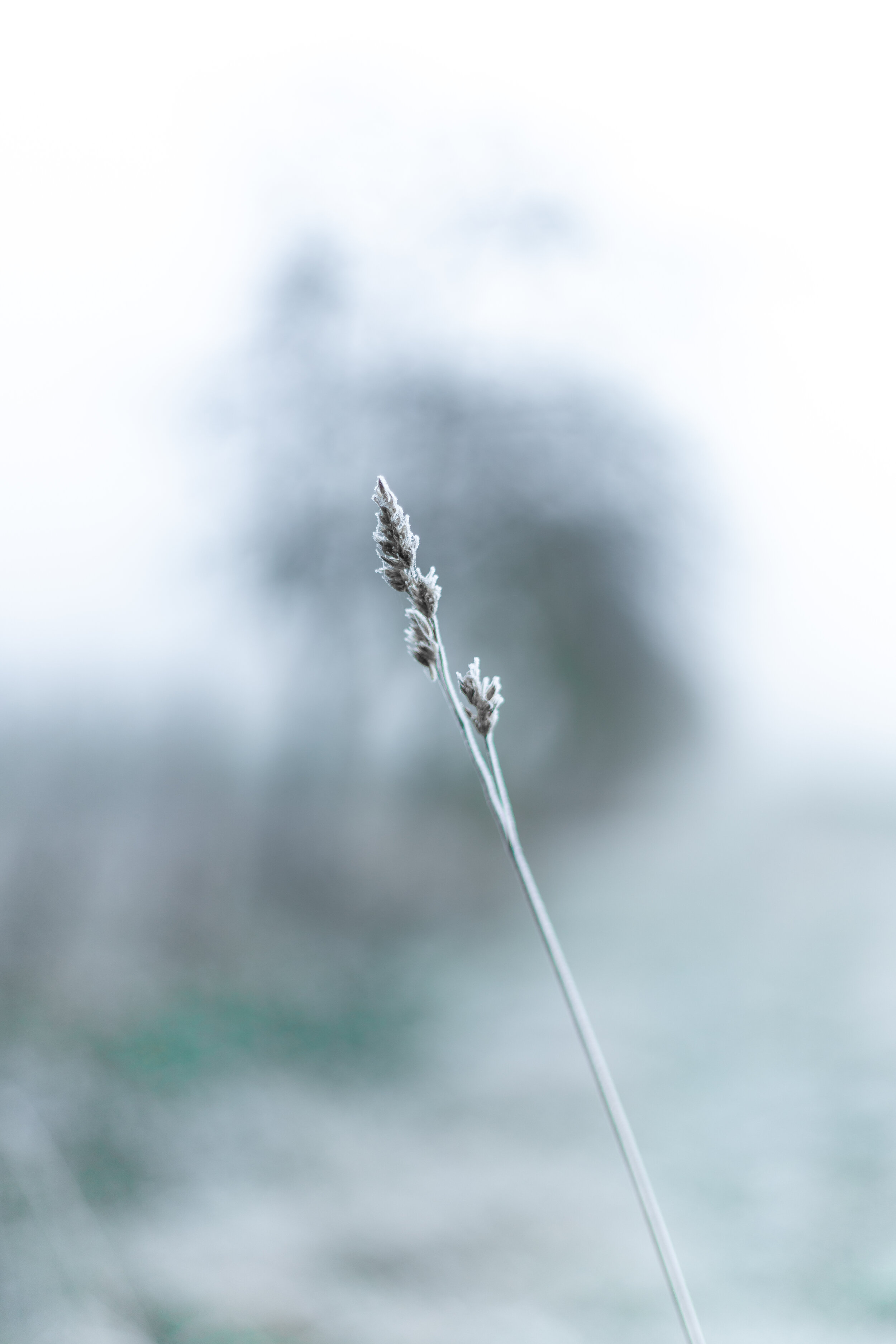 moving from listening