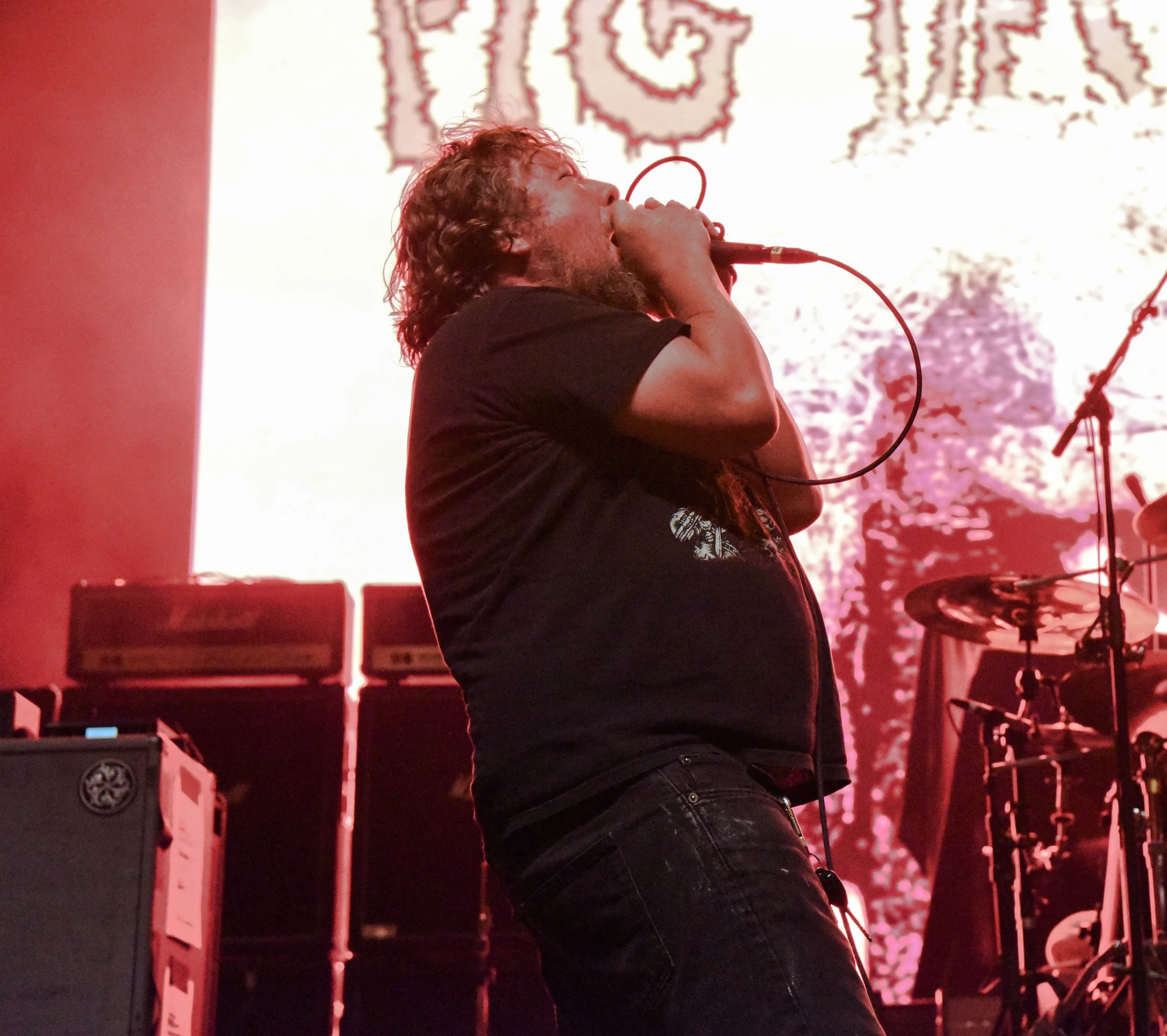 Pig Destroyer 3.jpg