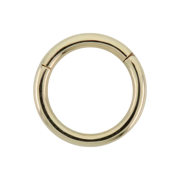 Simple Hinged Seamless Ring