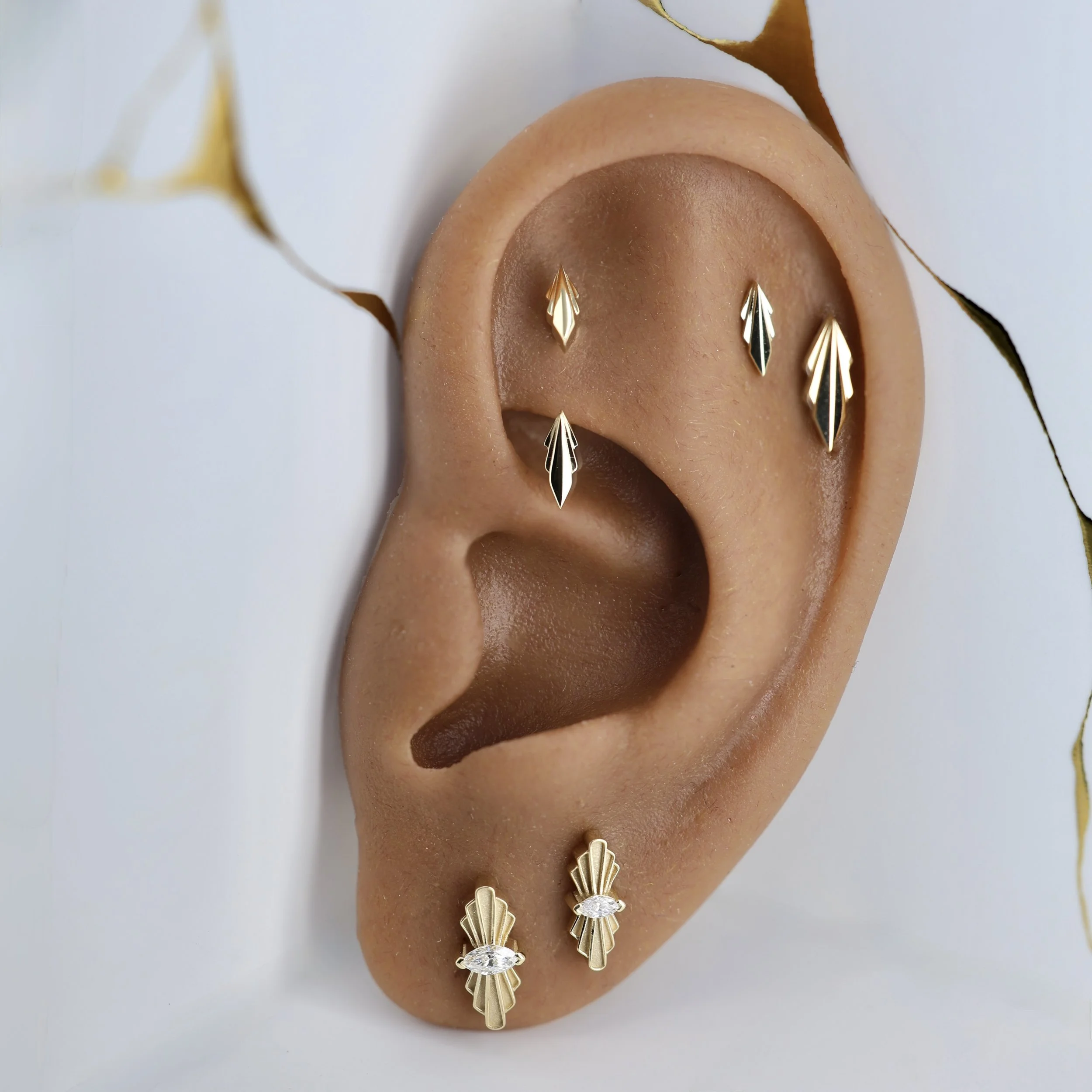 bucatelli ear.jpg