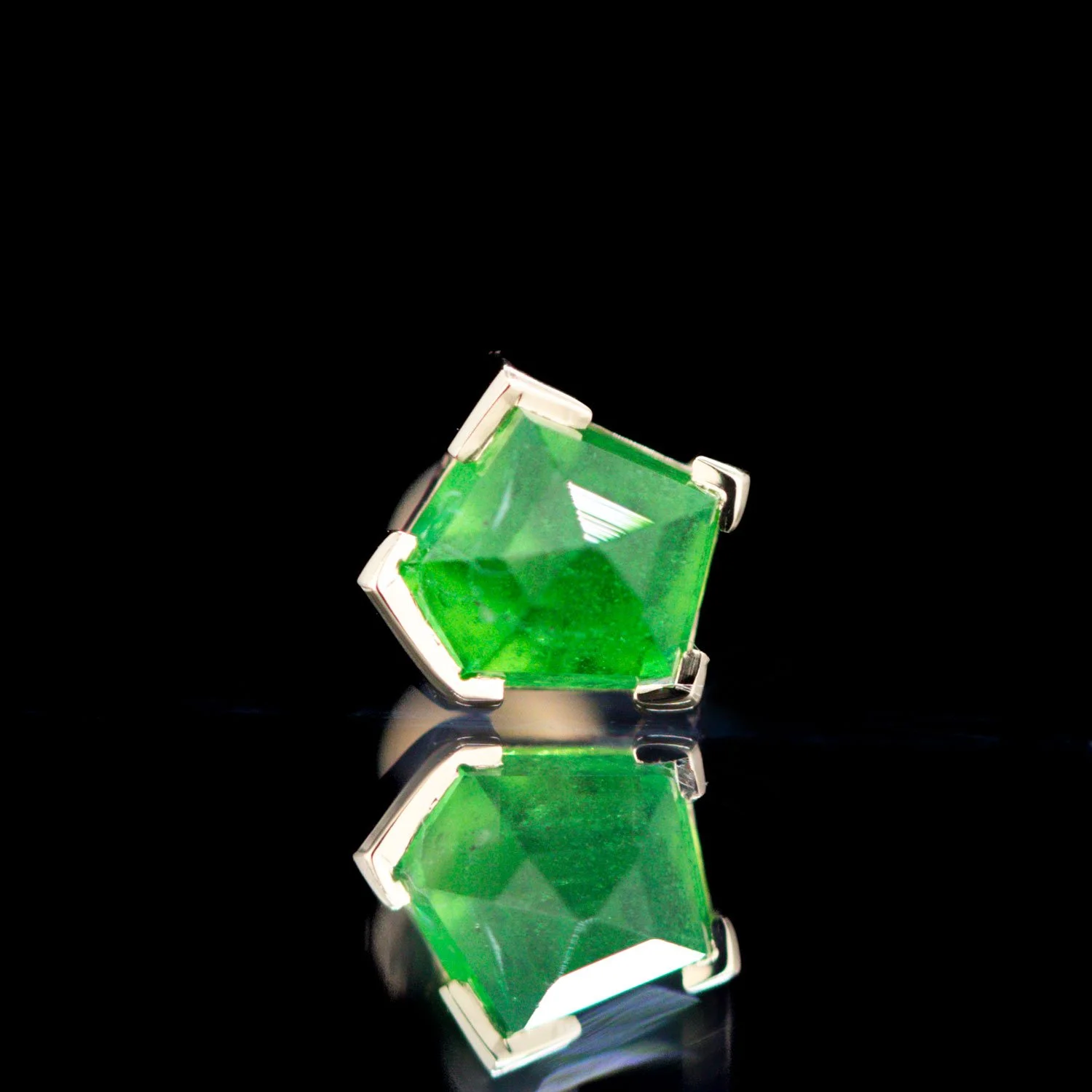 tsav 5.5 $280.jpg