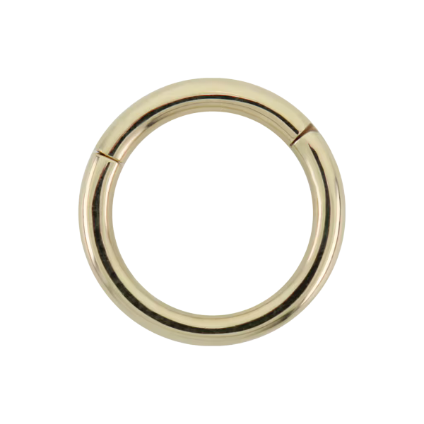 leroi hinged no bg .png