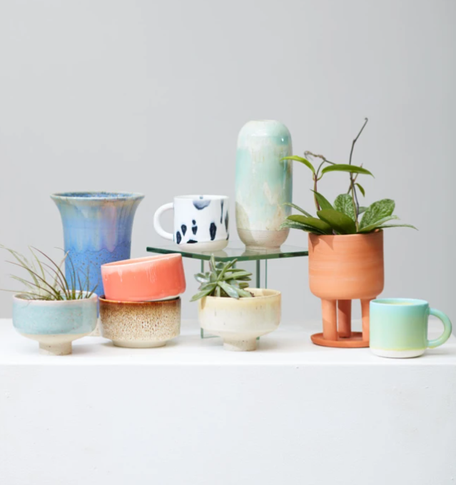 Photo Credits: Dynasty Plant Shop