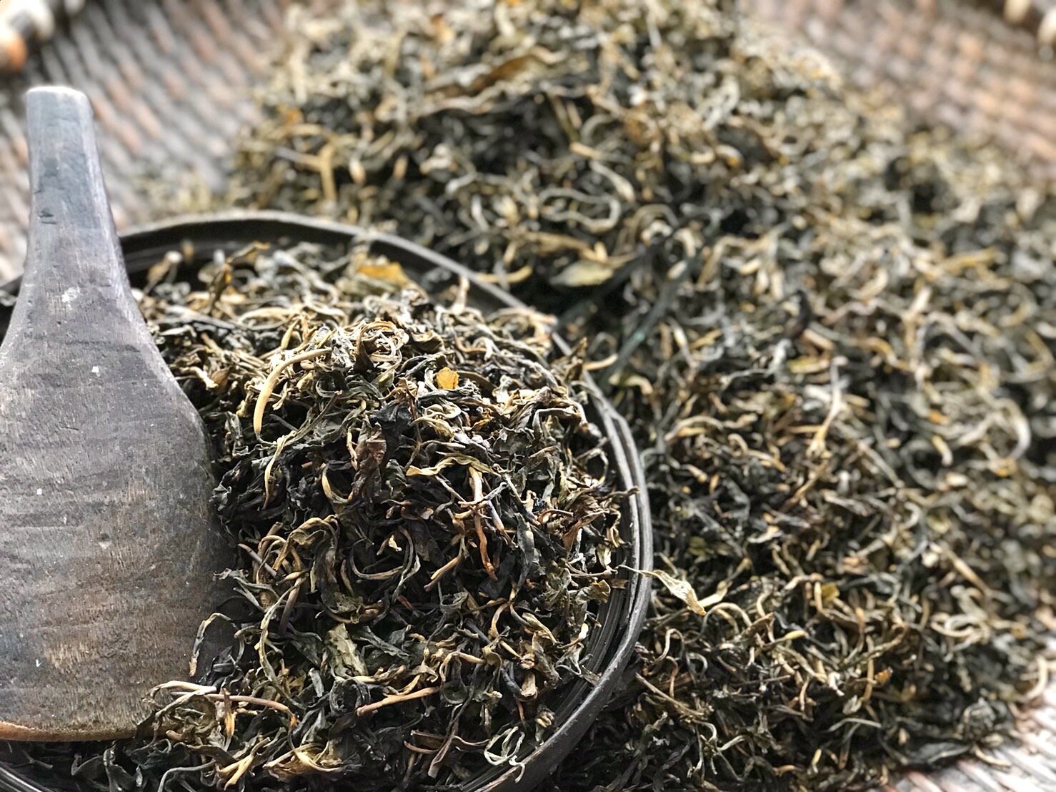 Tea Harvesting and Degustation