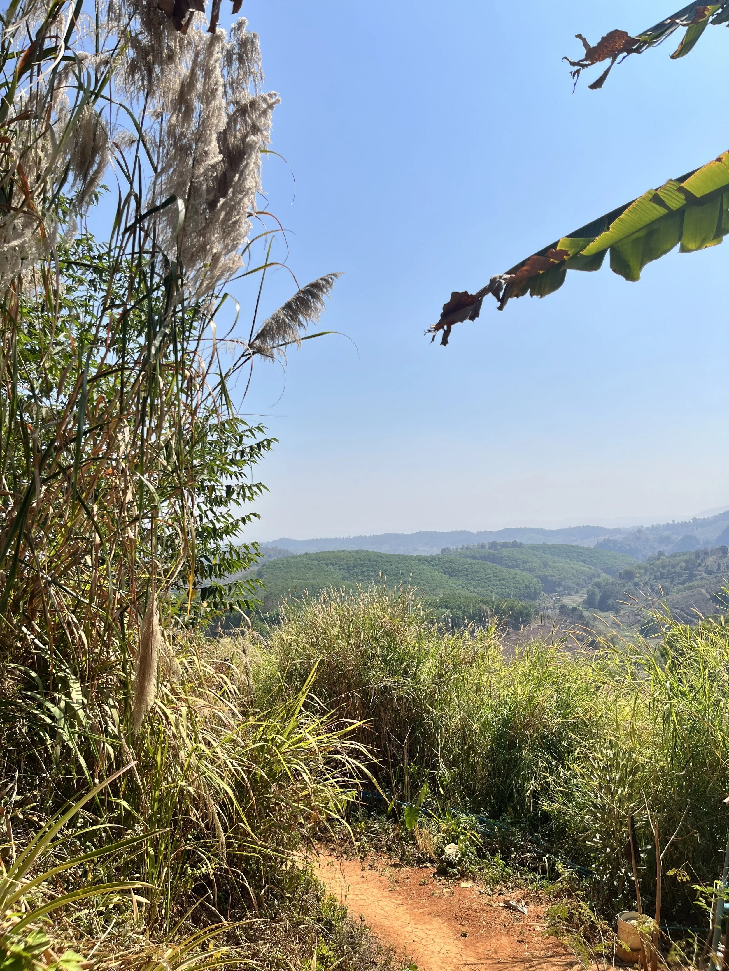 BHŪMI Learning Residency