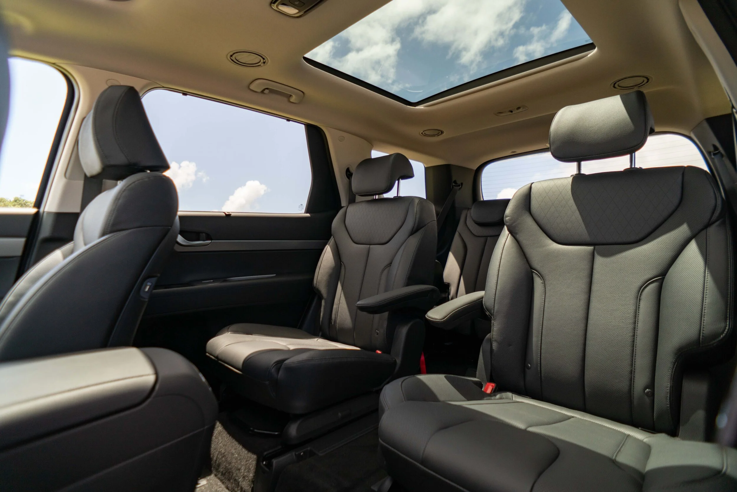 Hyundai New Zealand’s Palisade large SUV has a surprising customer ...