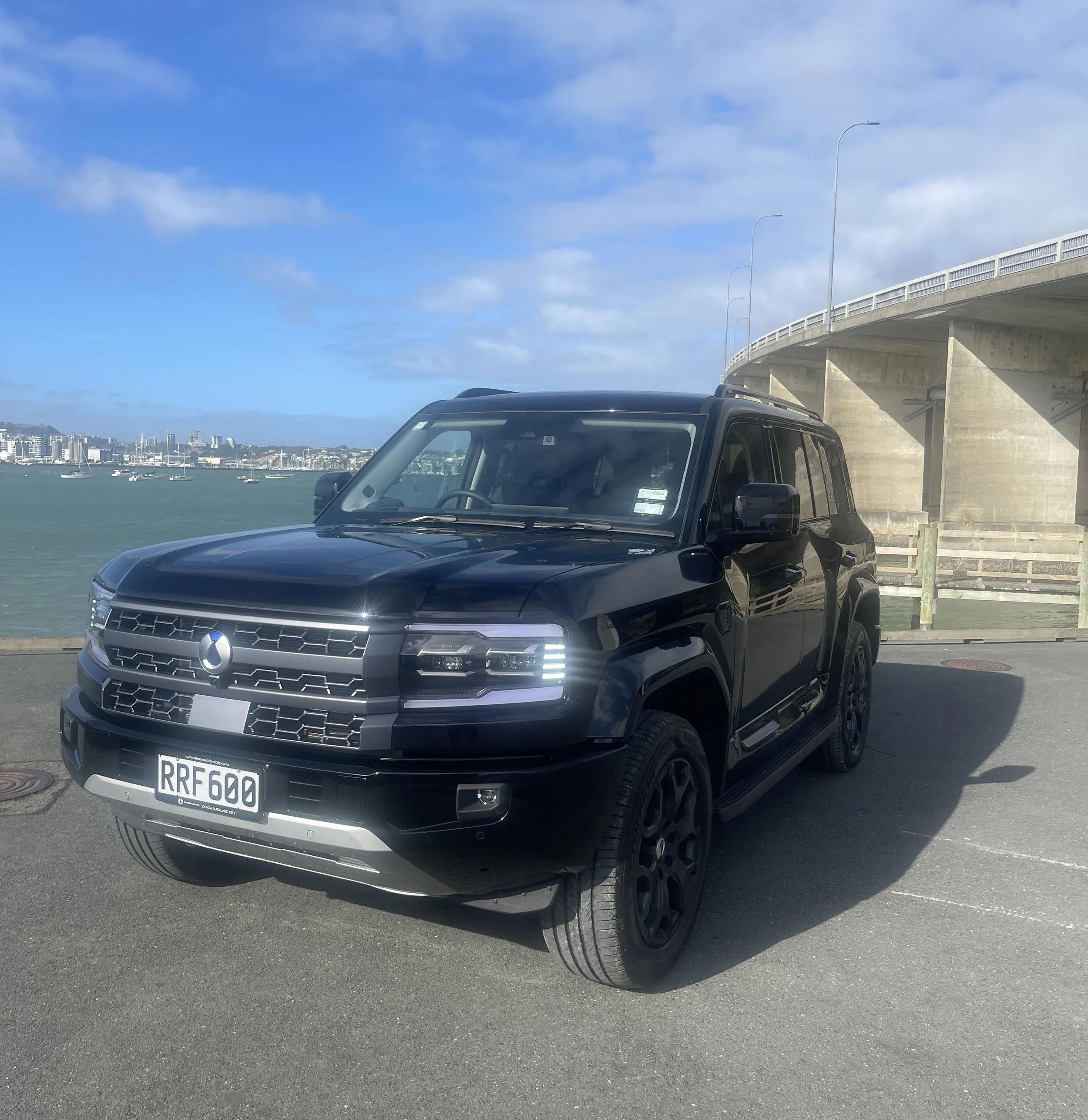 Reviewed: Denza B5 Leopard premium SUV