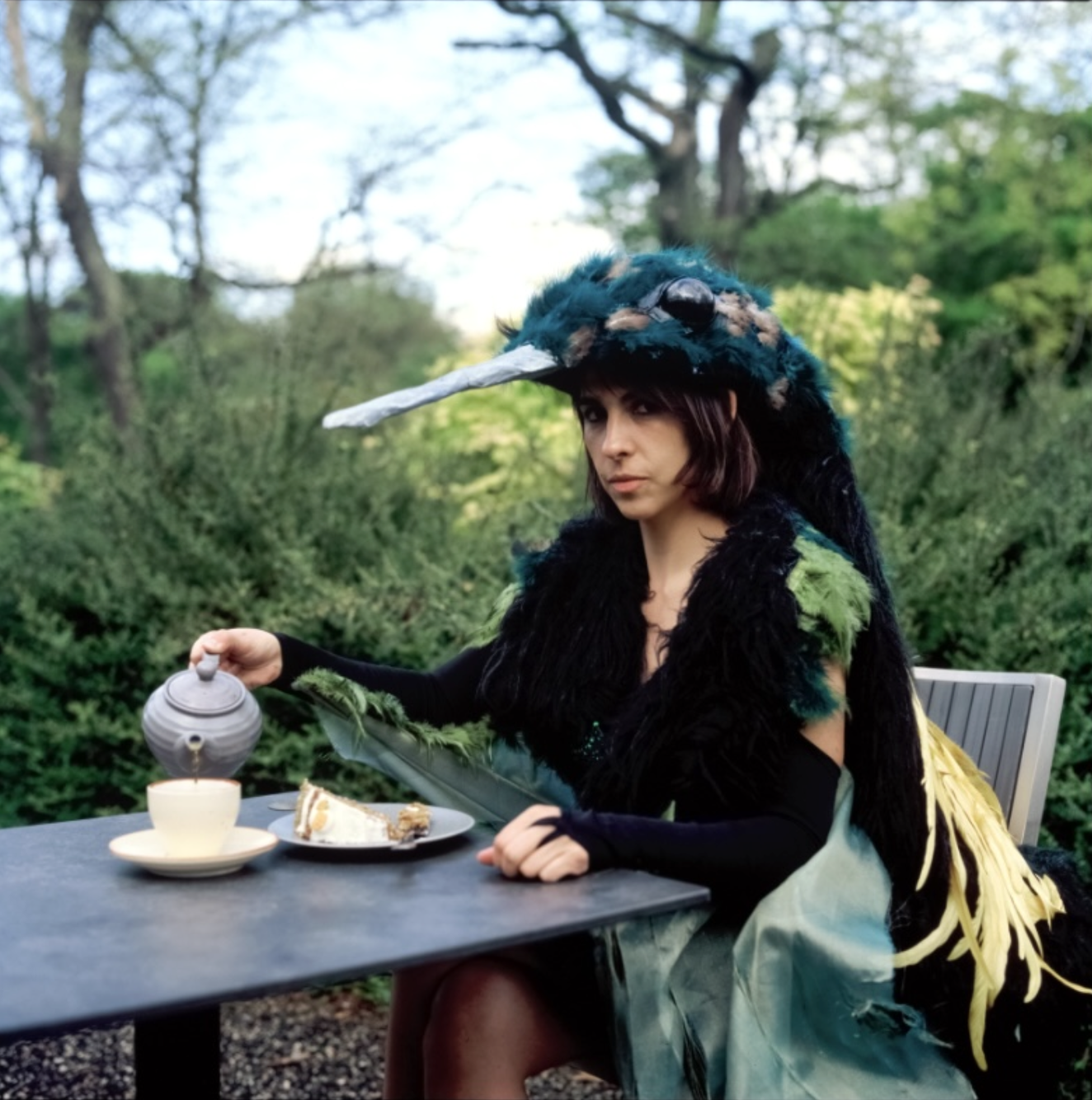 Hummingbird2.png
