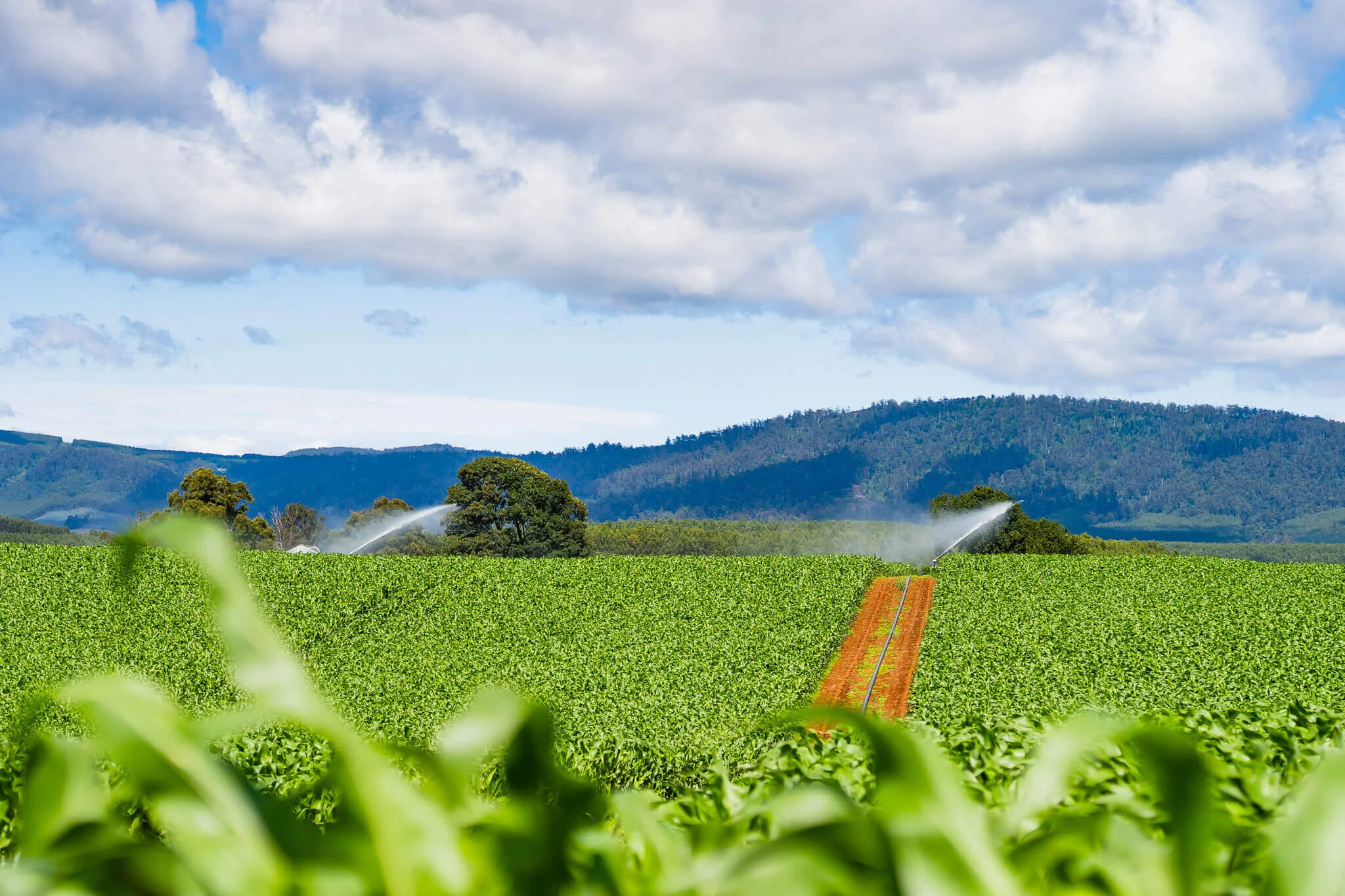 PVC, agricultural poly pipe valves and fittings — Van Diemens Land