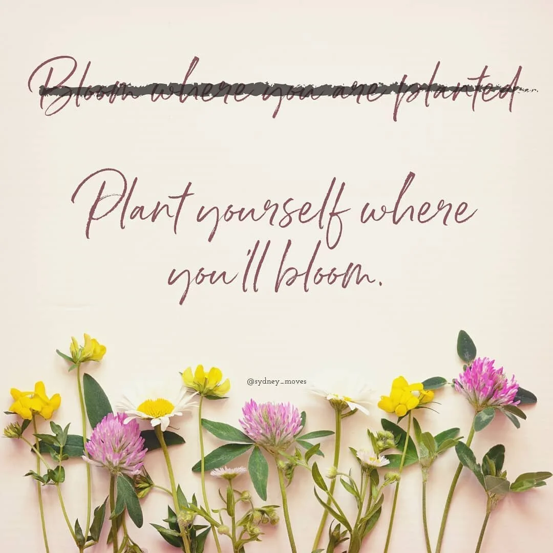 &quot;It gets to be easy.&quot; - @katrina.widener 

Katrina reminded me this week that there are places where I naturally bloom, and I owe it to myself to plant myself in those places.

You do, too. 

&quot;Plant yourself where you'll bloom.&quot; -