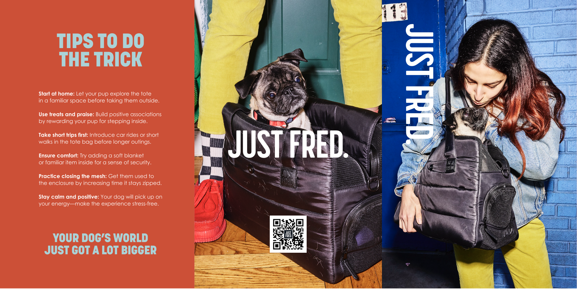 Screenshot 2025-04-14 at 11.17.22 AM.png