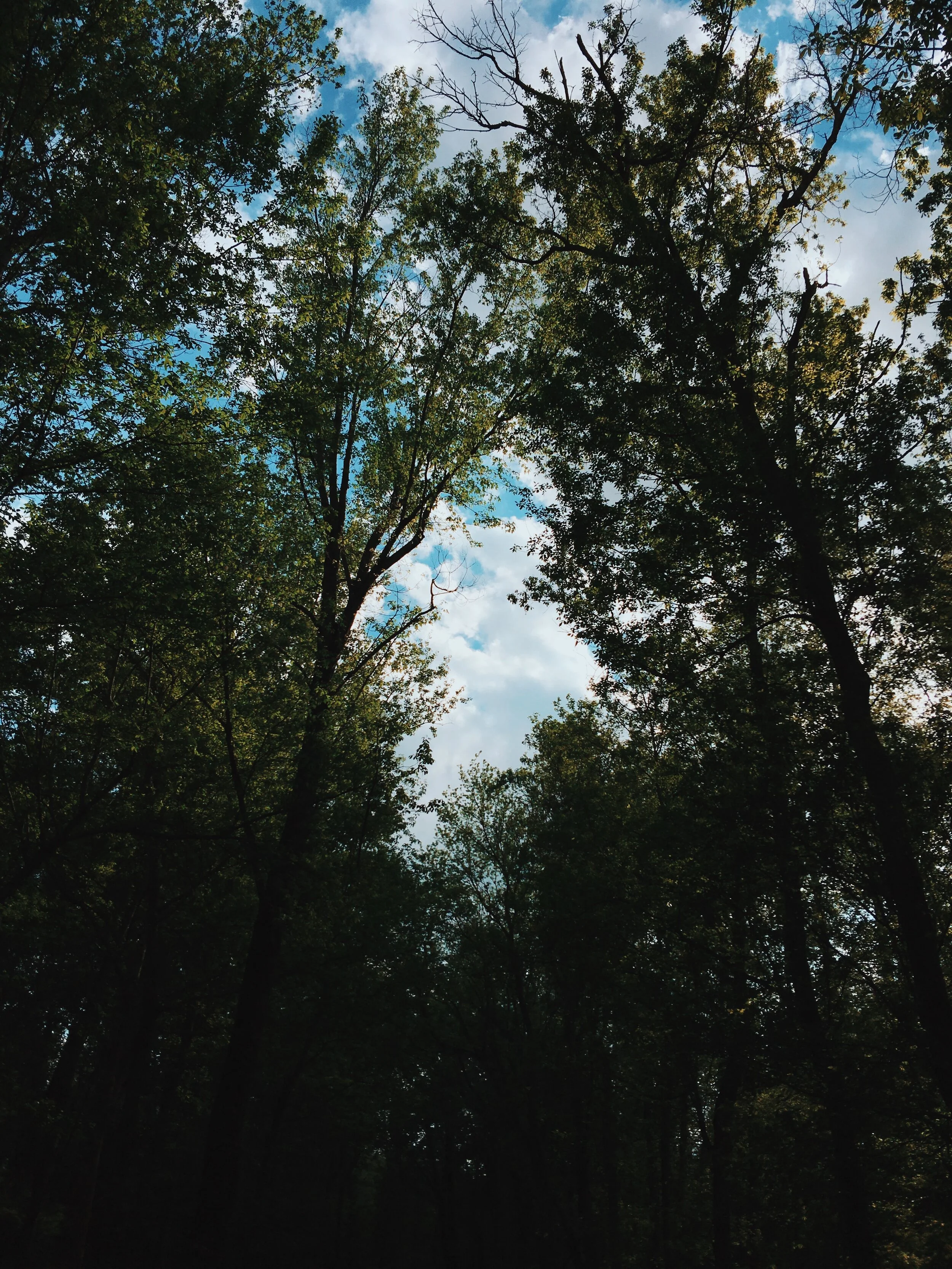 D492F6BF-B4B4-4081-B59D-5042F5D914E9.JPG